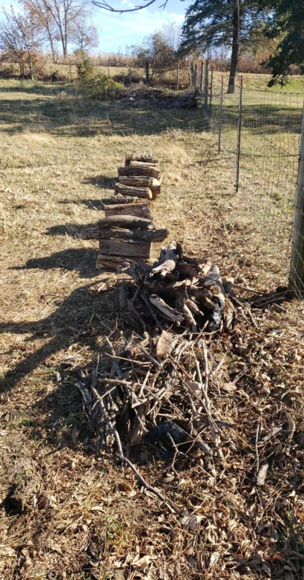 Photo 48