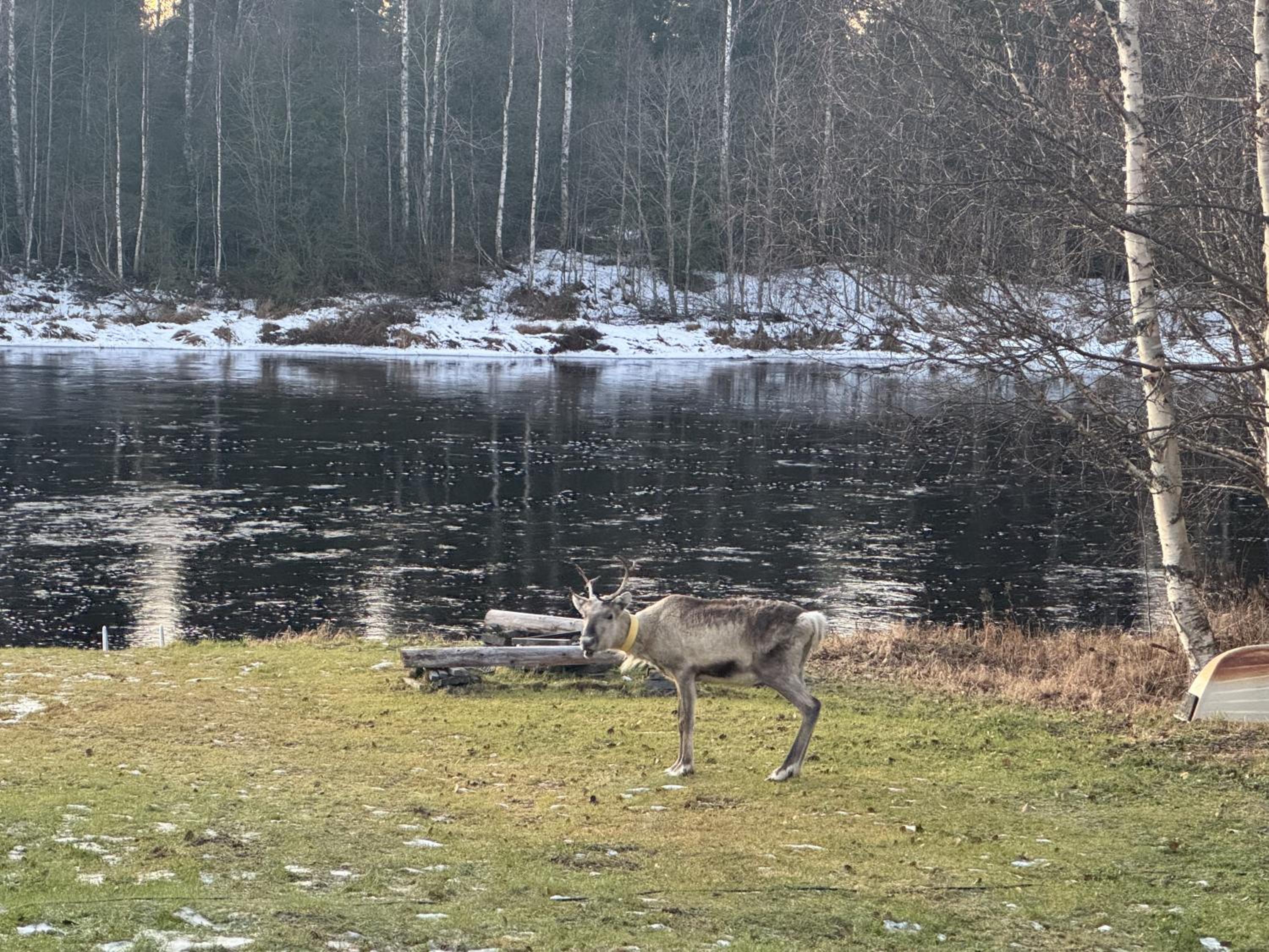 Lapin Villa Hiisi joen rannalla