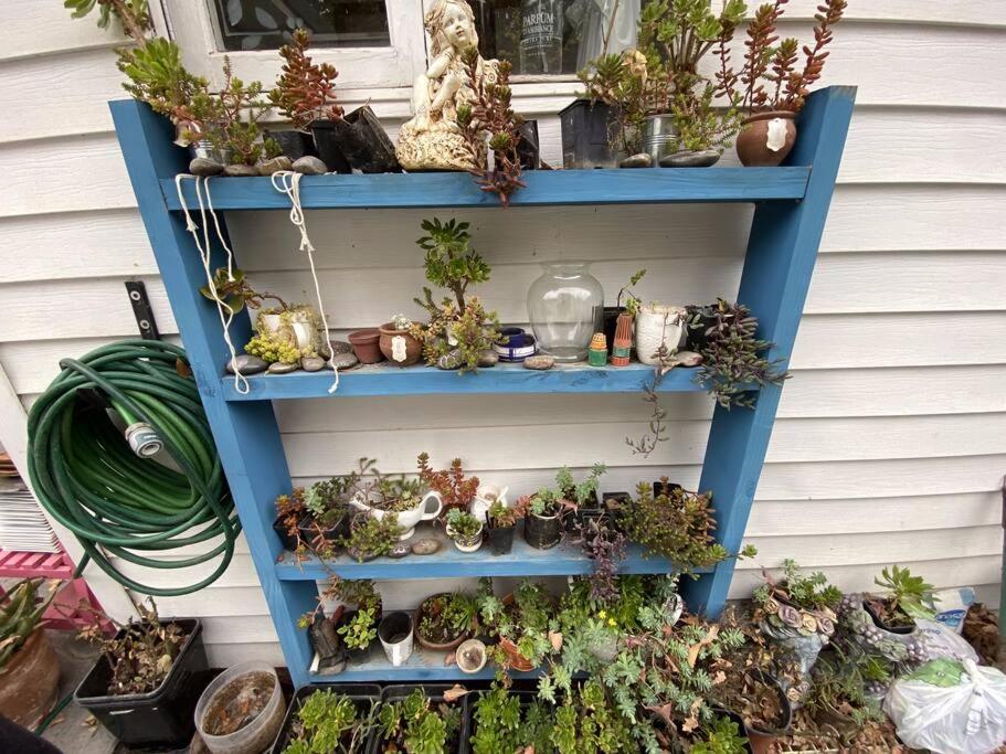 Escape al bosque! - Casa Vintage