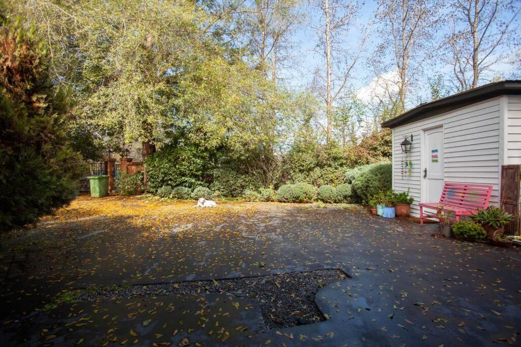 Escape al bosque! - Casa Vintage