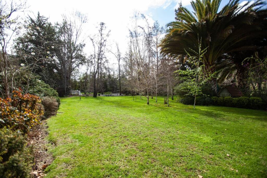 Escape al bosque! - Casa Vintage