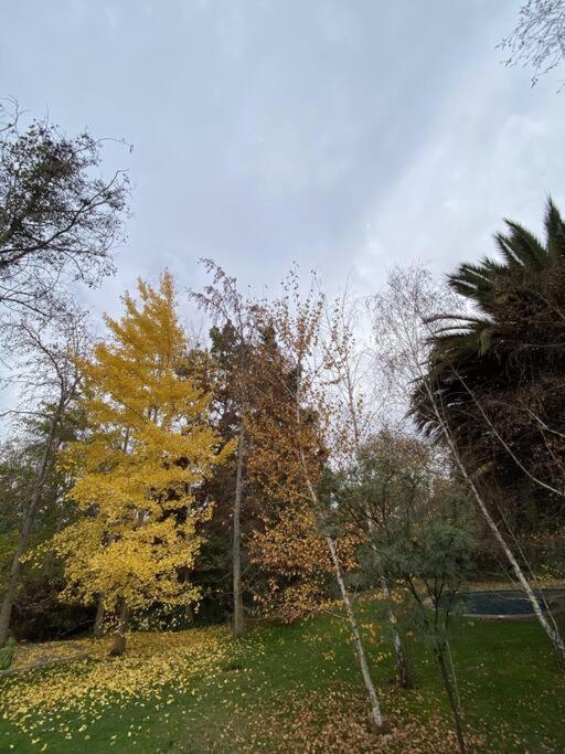 Escape al bosque! - Casa Vintage