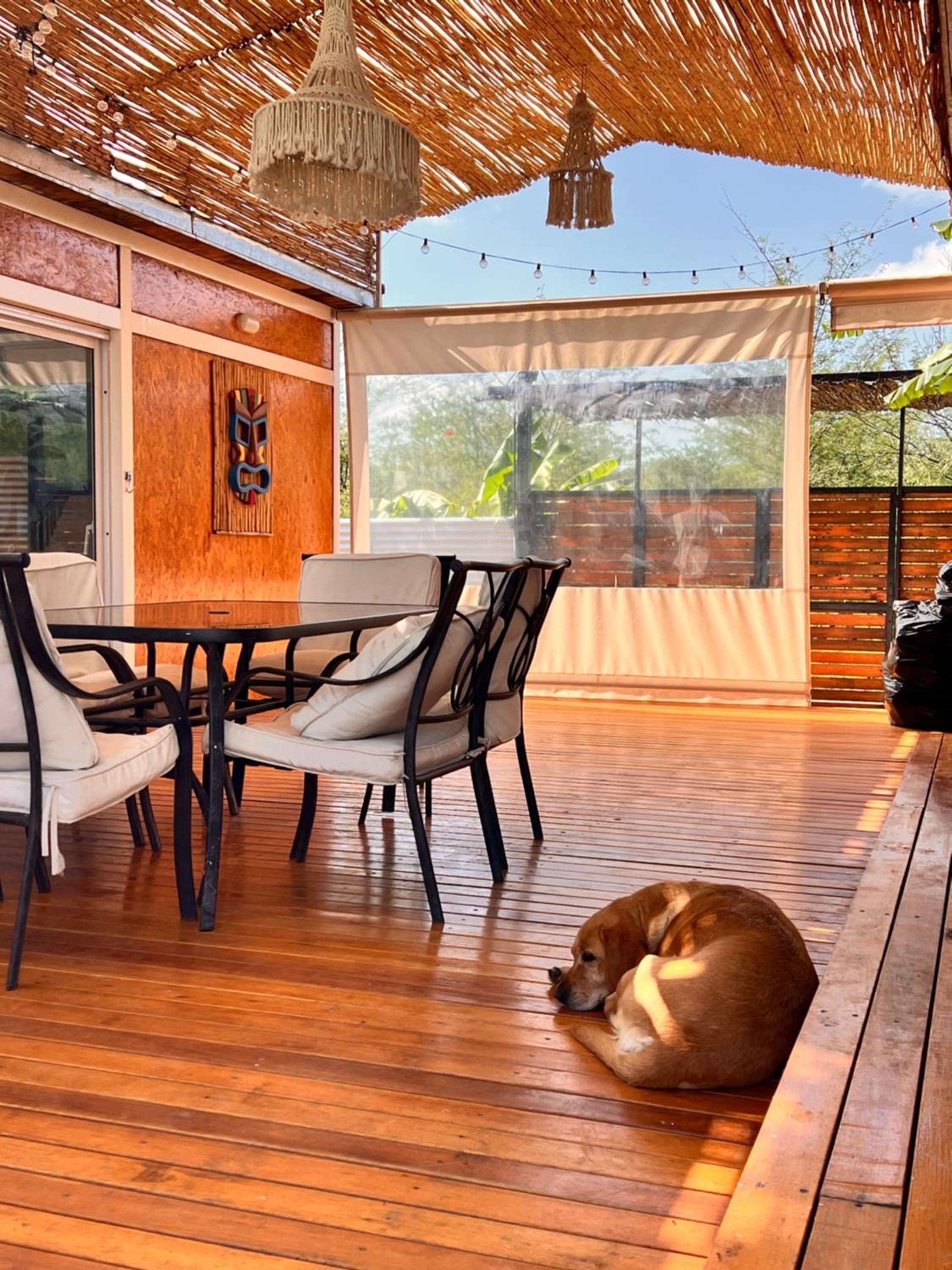 Ohana rentals