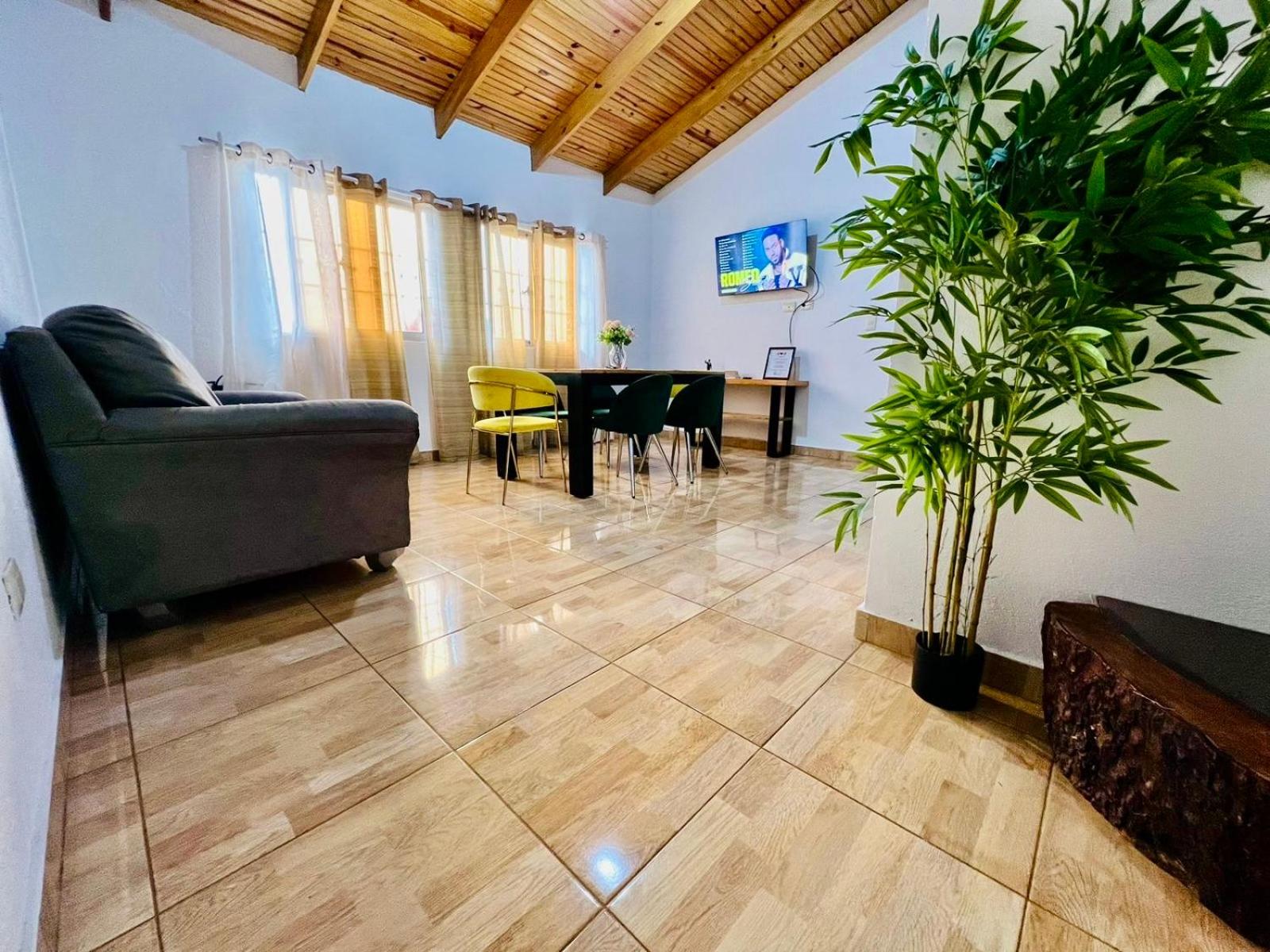 Green Oasis Apartments