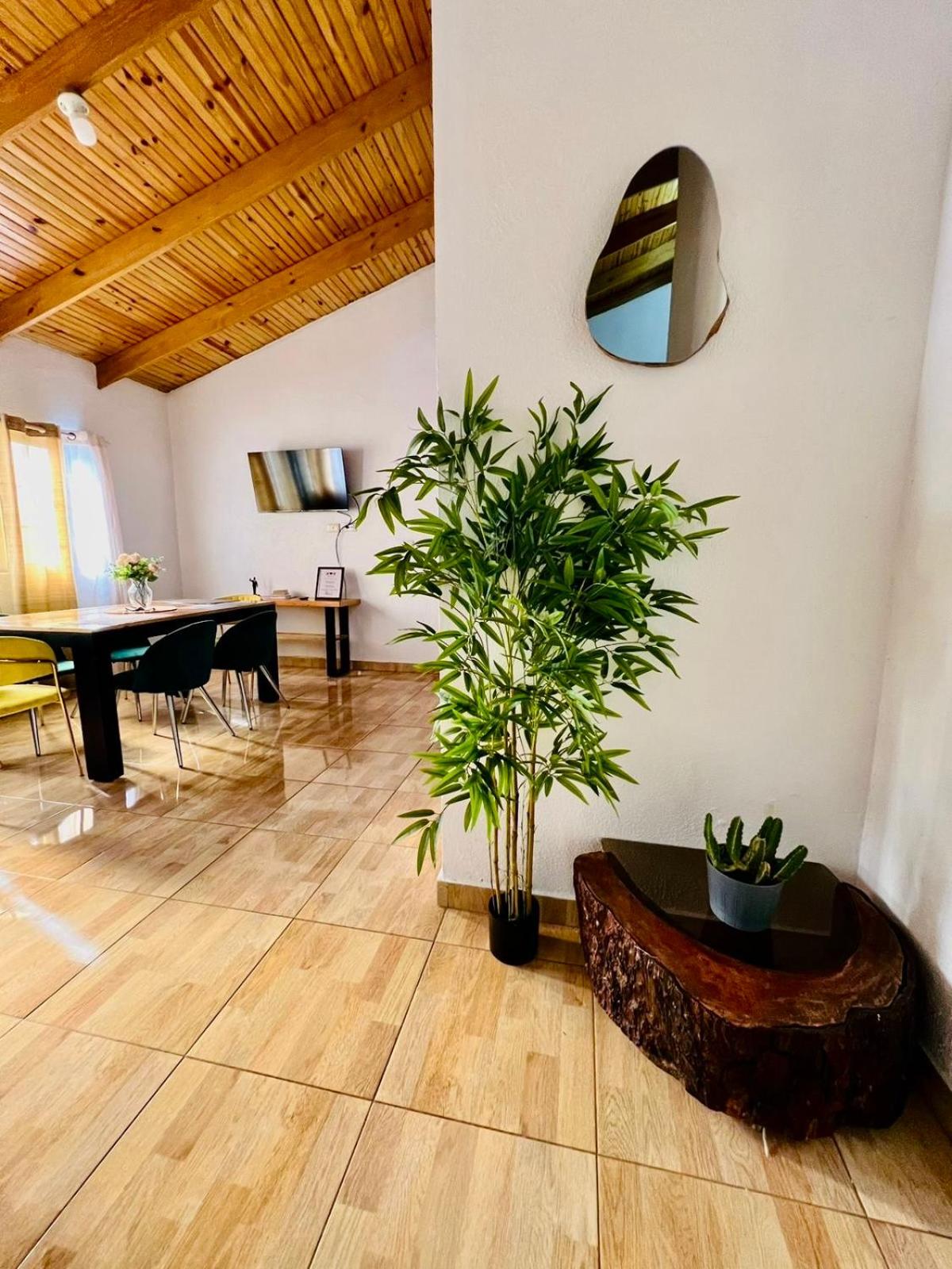 Green Oasis Apartments