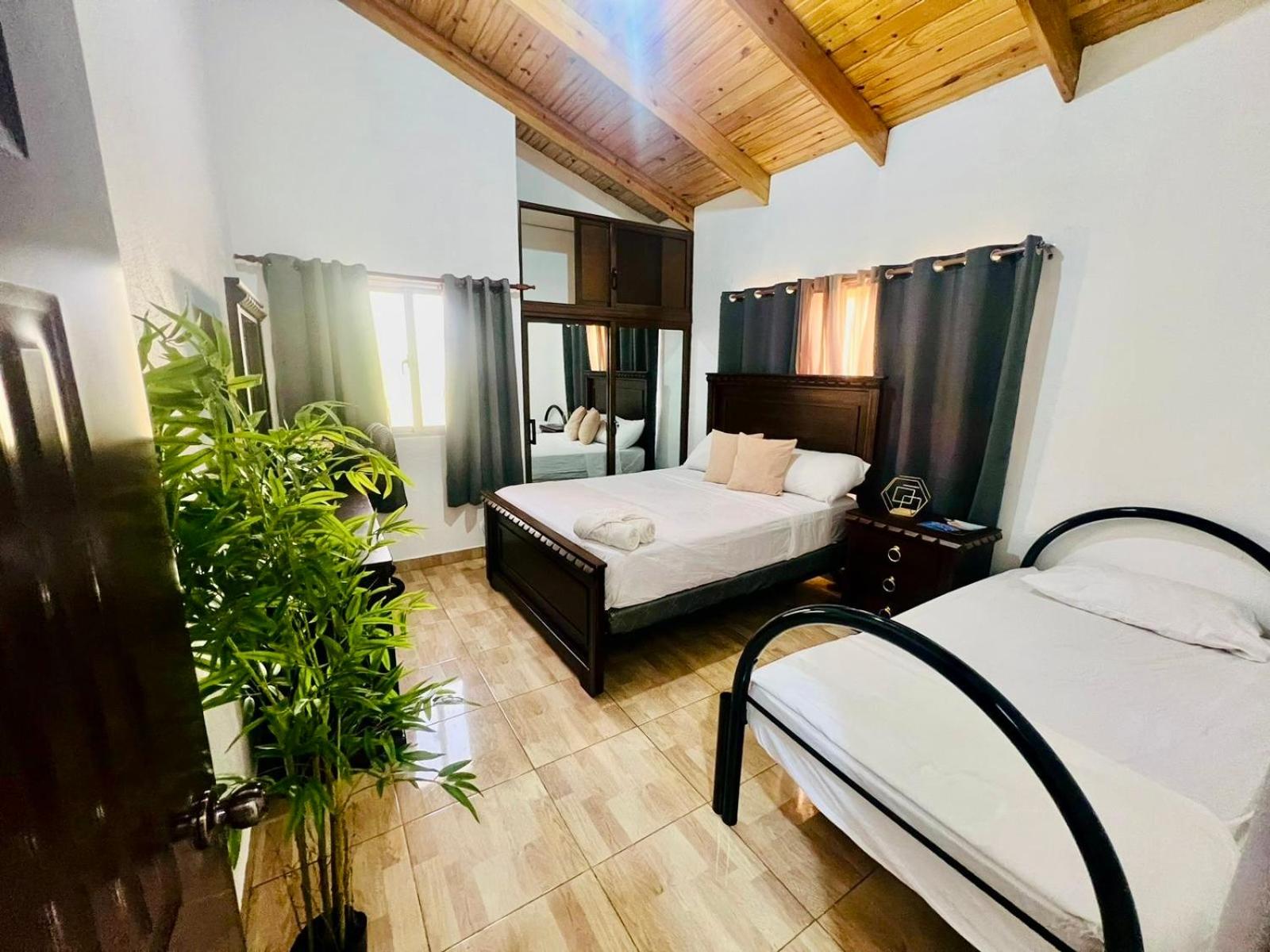 Green Oasis Apartments
