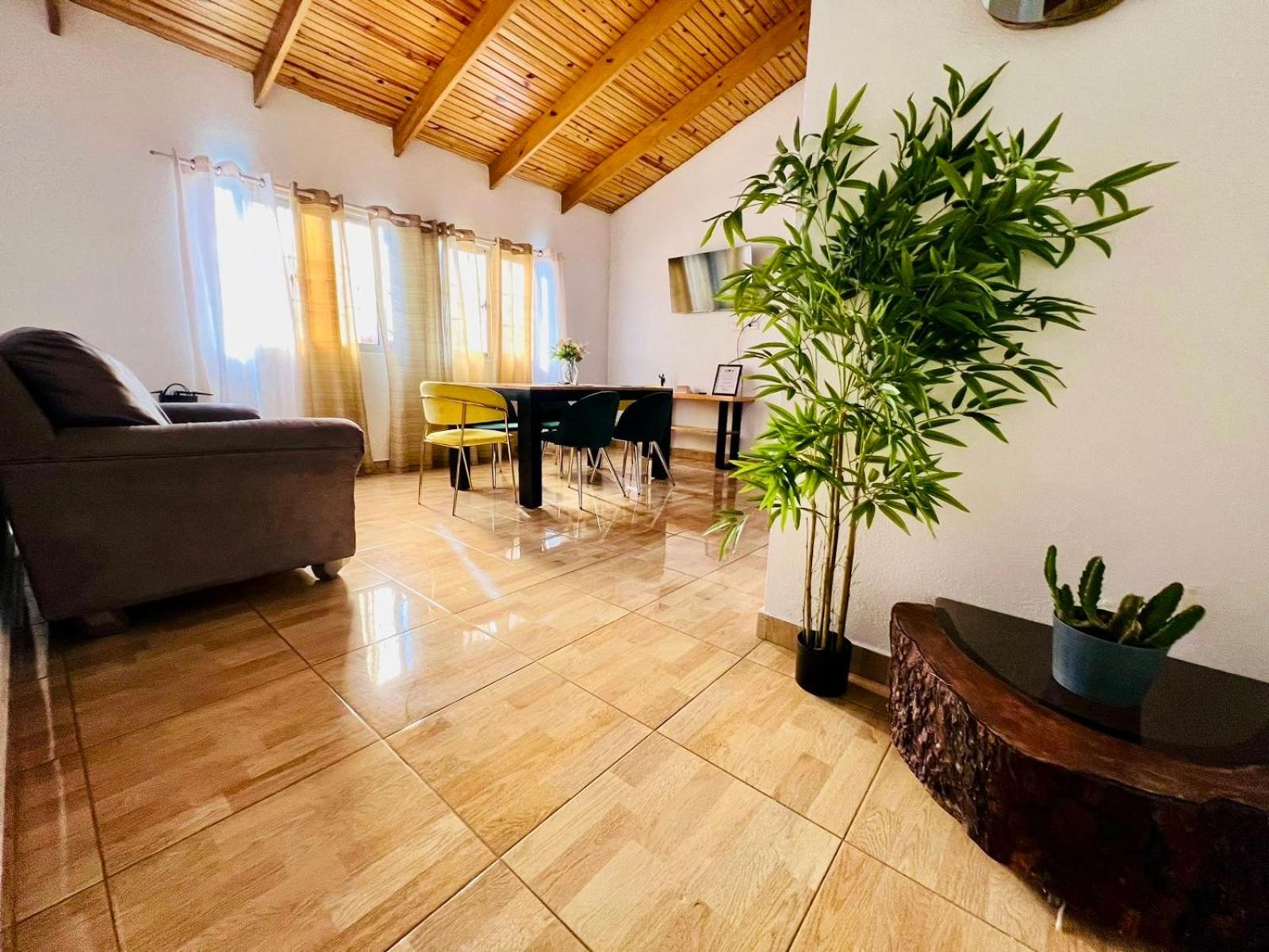 Green Oasis Apartments