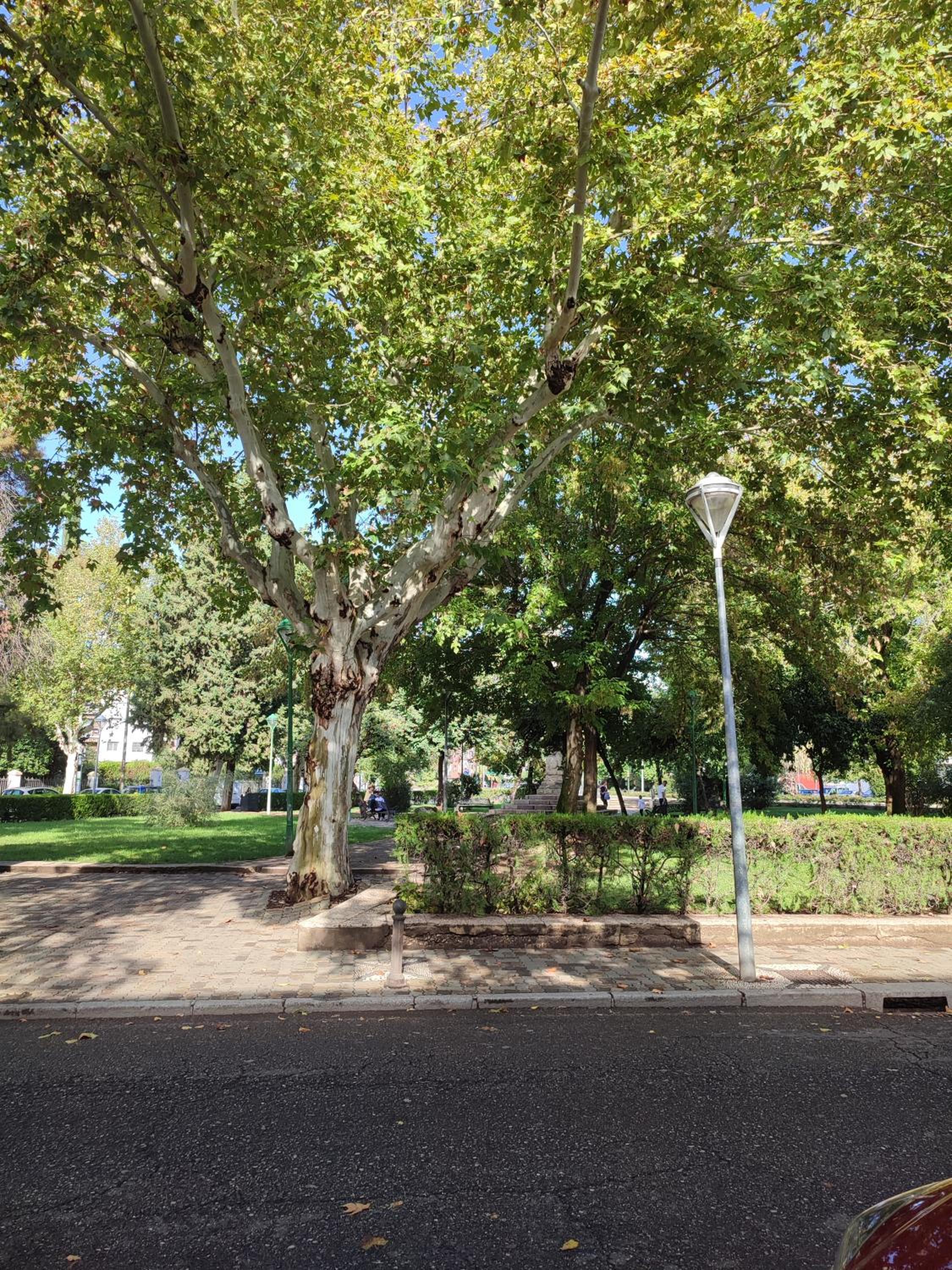 apartamentos barrio nuevo