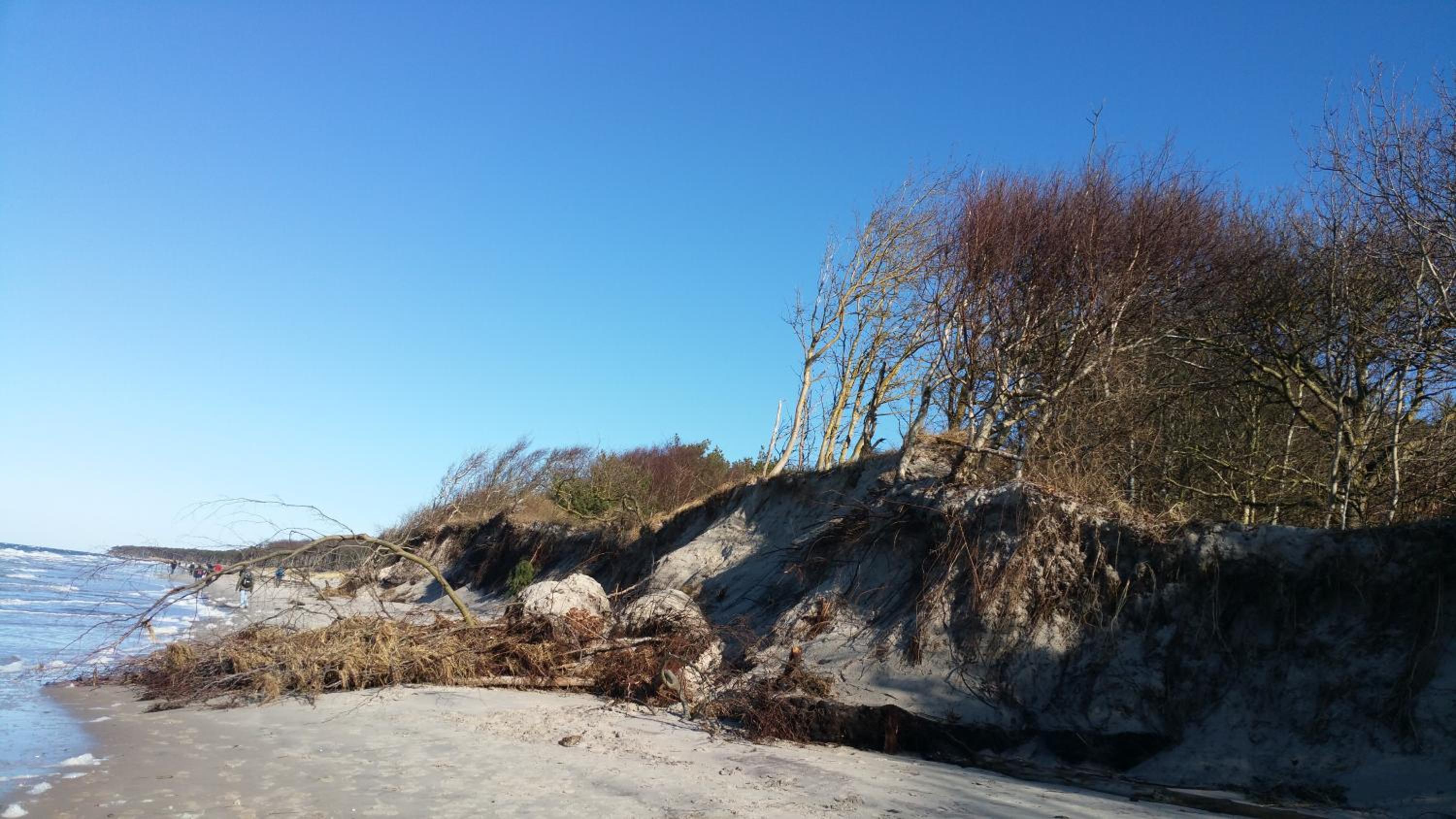 Ferienhaus-Fischlandde Grünbaum Ahrenshoop