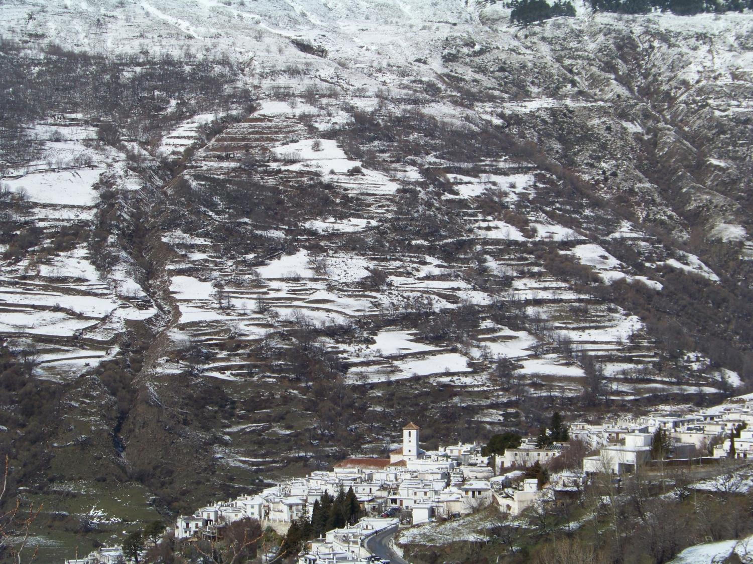 Photo 42