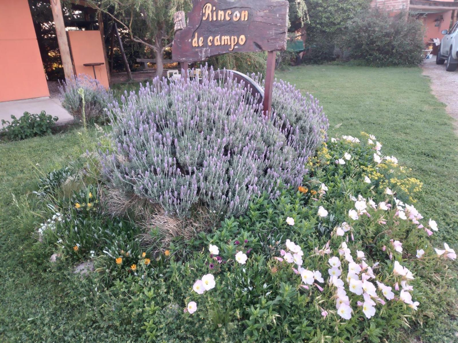 Cabañas Rincon de Campo San Andres De Las Sierras