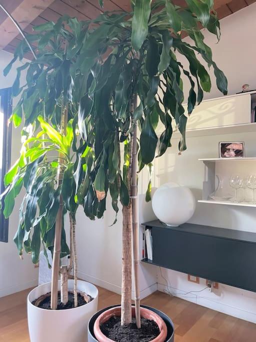 Luxury top floor in porta Venezia