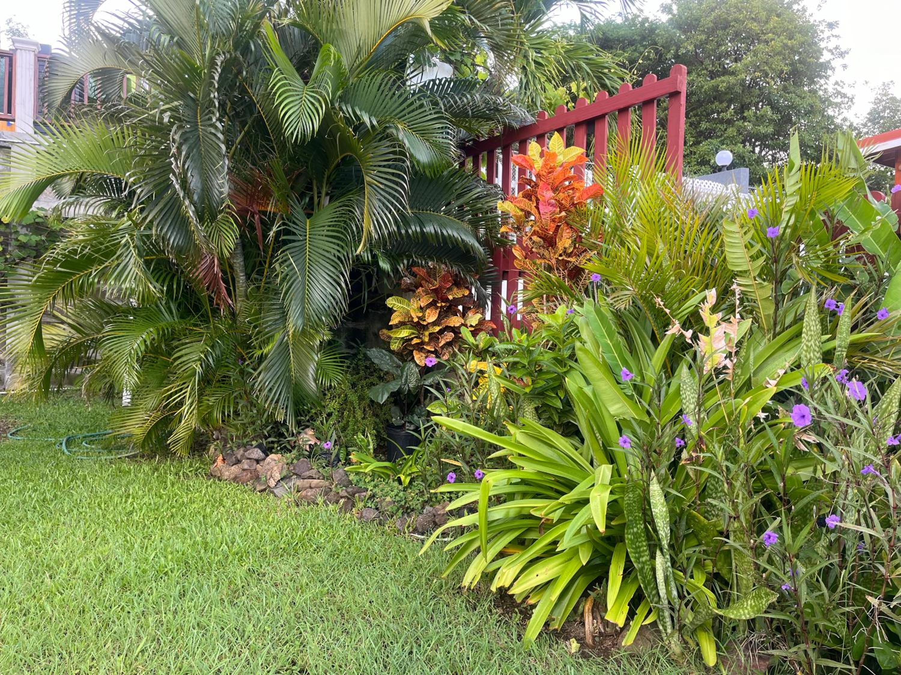 Photo 22