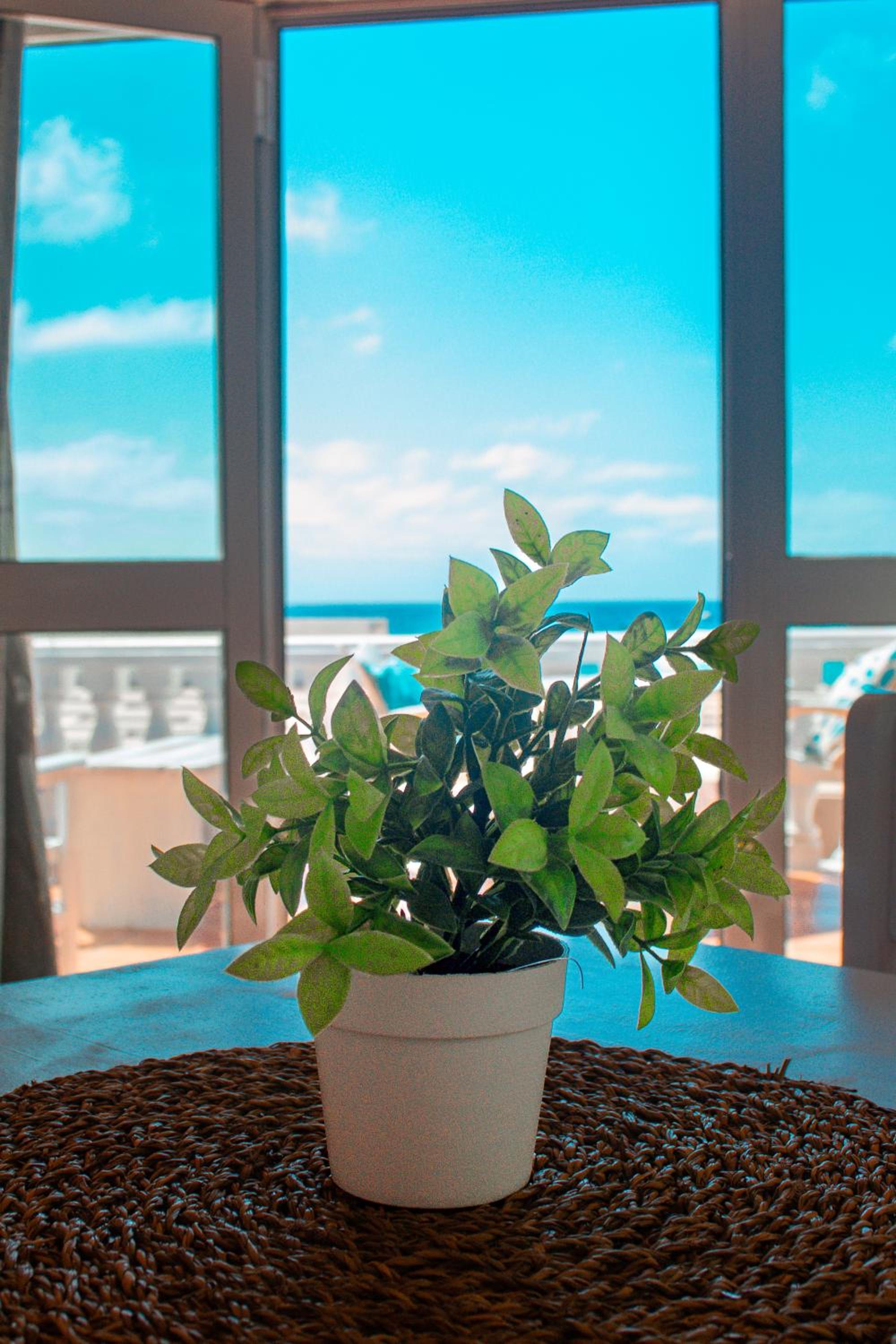 Vista Mar - Seafront Holiday Apartments
