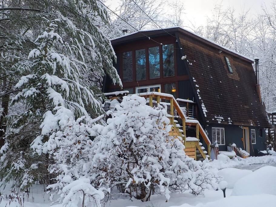 Luxury Chalet - 1 mile to Hunter Ski Resort- Hot Tub - Pets stay free view 3