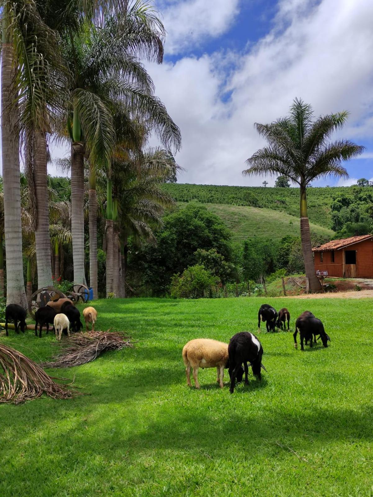 Casa de Fazenda próxima a Poços de Caldas