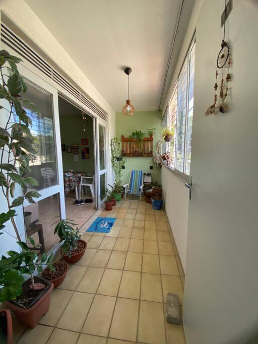 Aconchego Verde - Apartamento Olinda