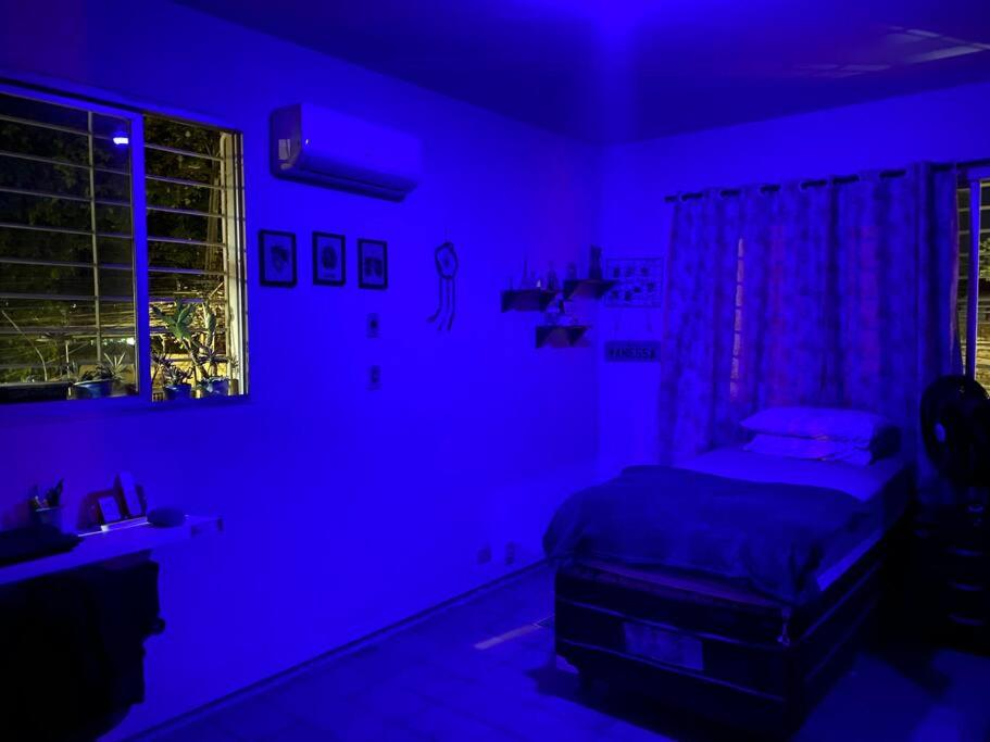 Aconchego Verde - Apartamento Olinda