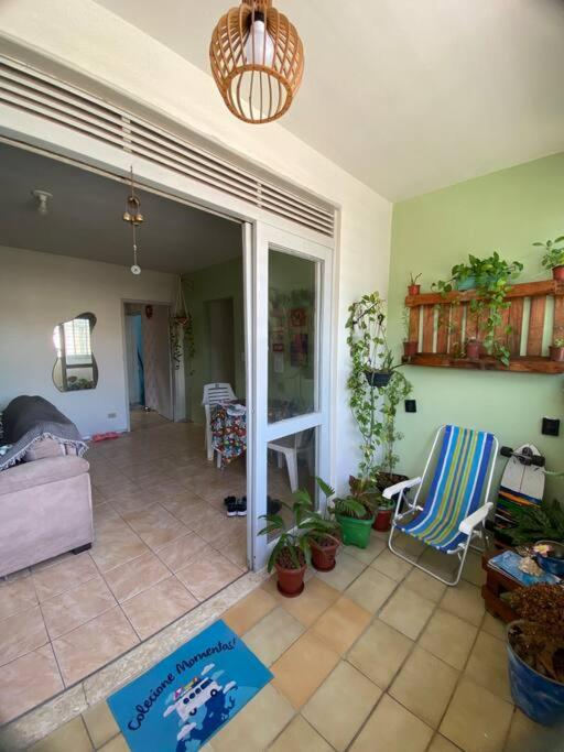 Aconchego Verde - Apartamento Olinda