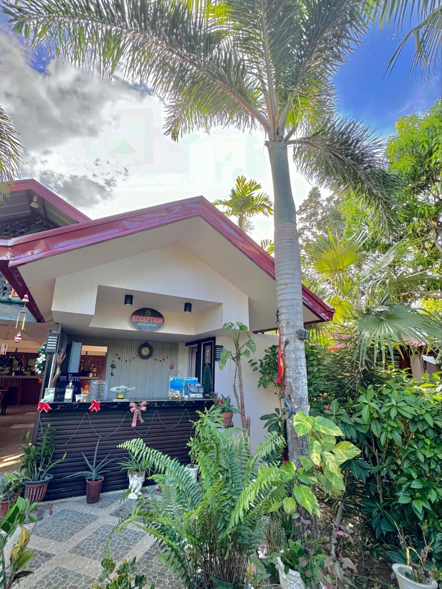 ADRIANA's PLACE TROPICAL GUESTHOUSE