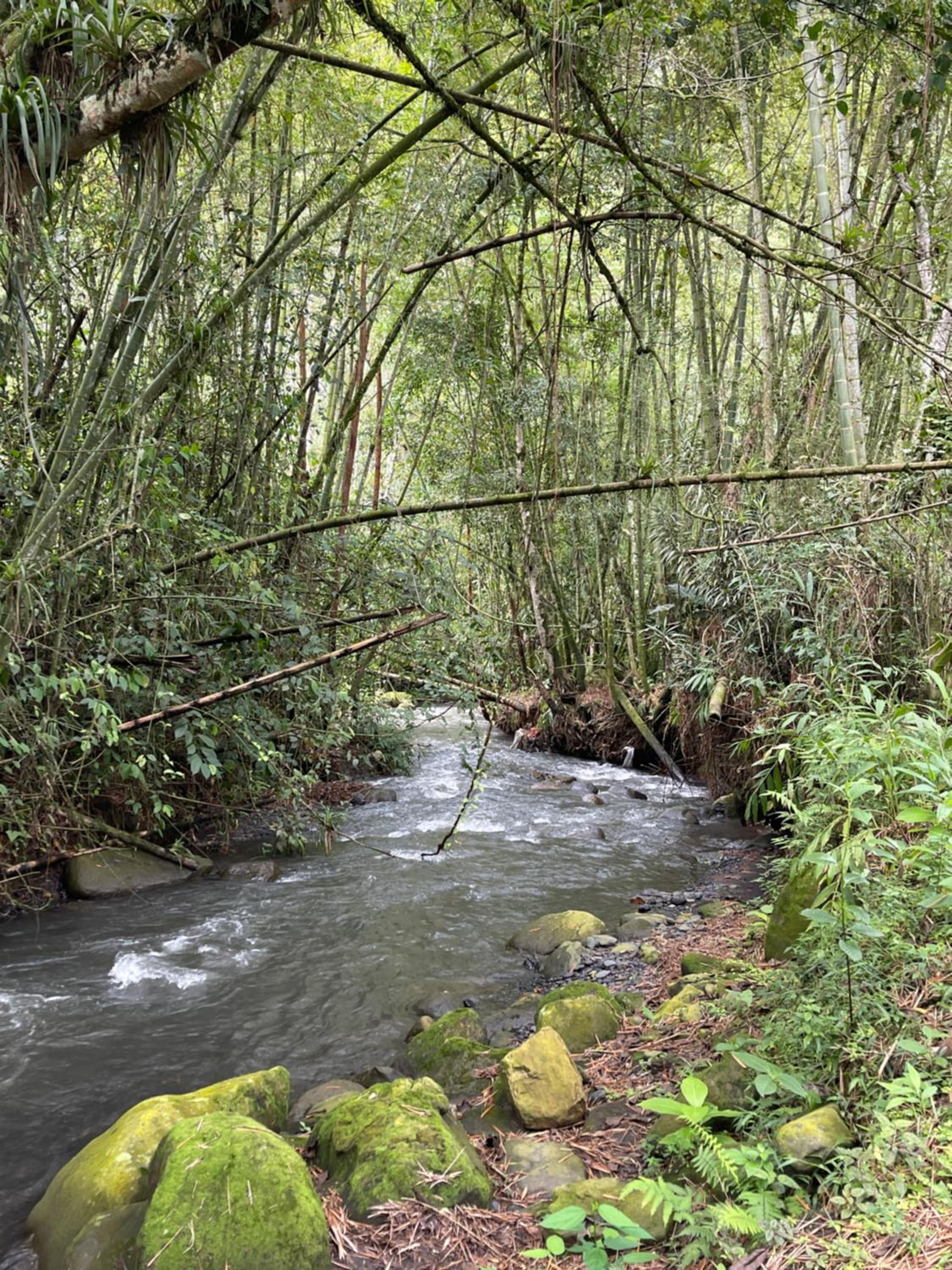 Rincón del Colibrí