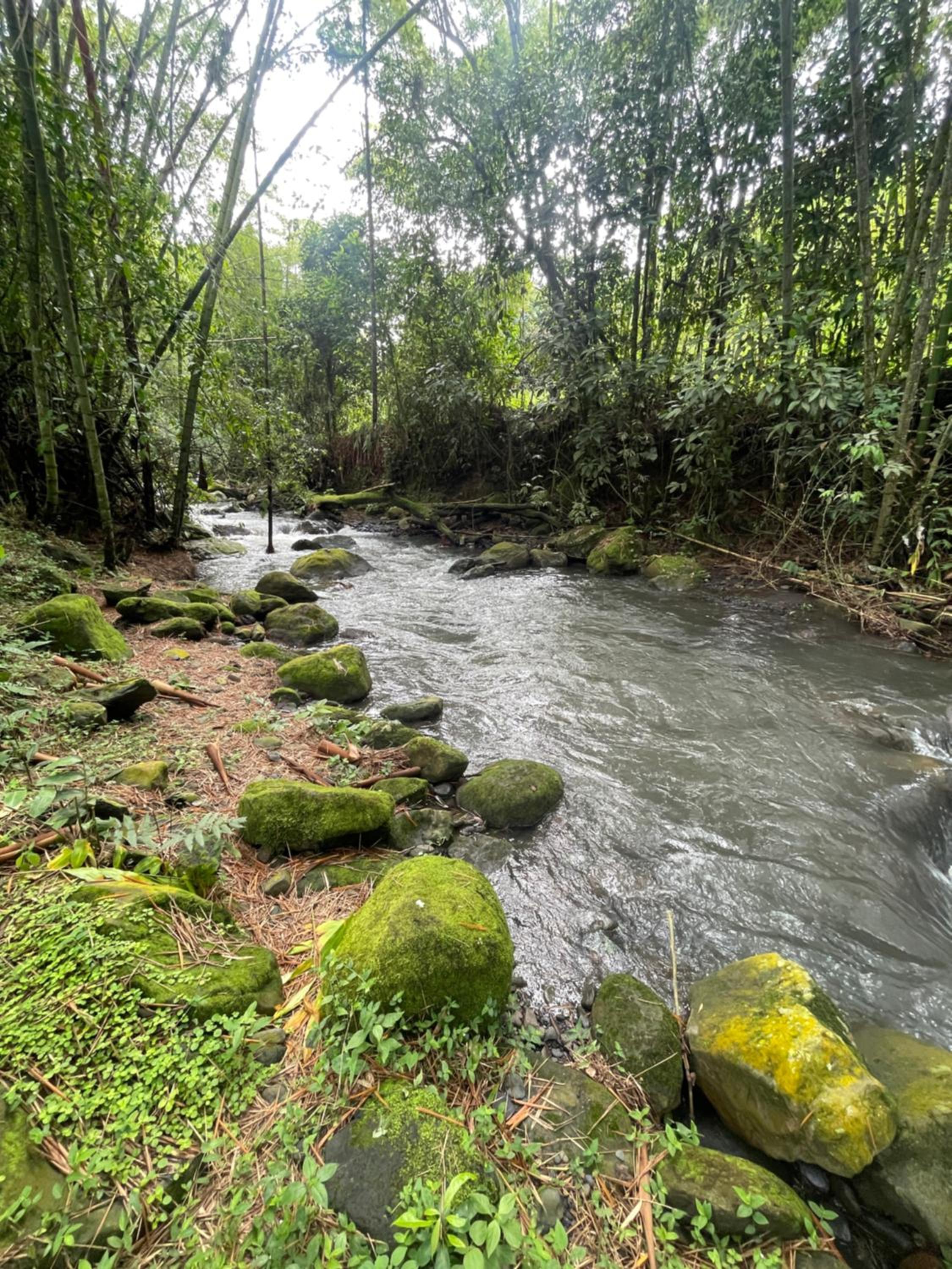 Rincón del Colibrí