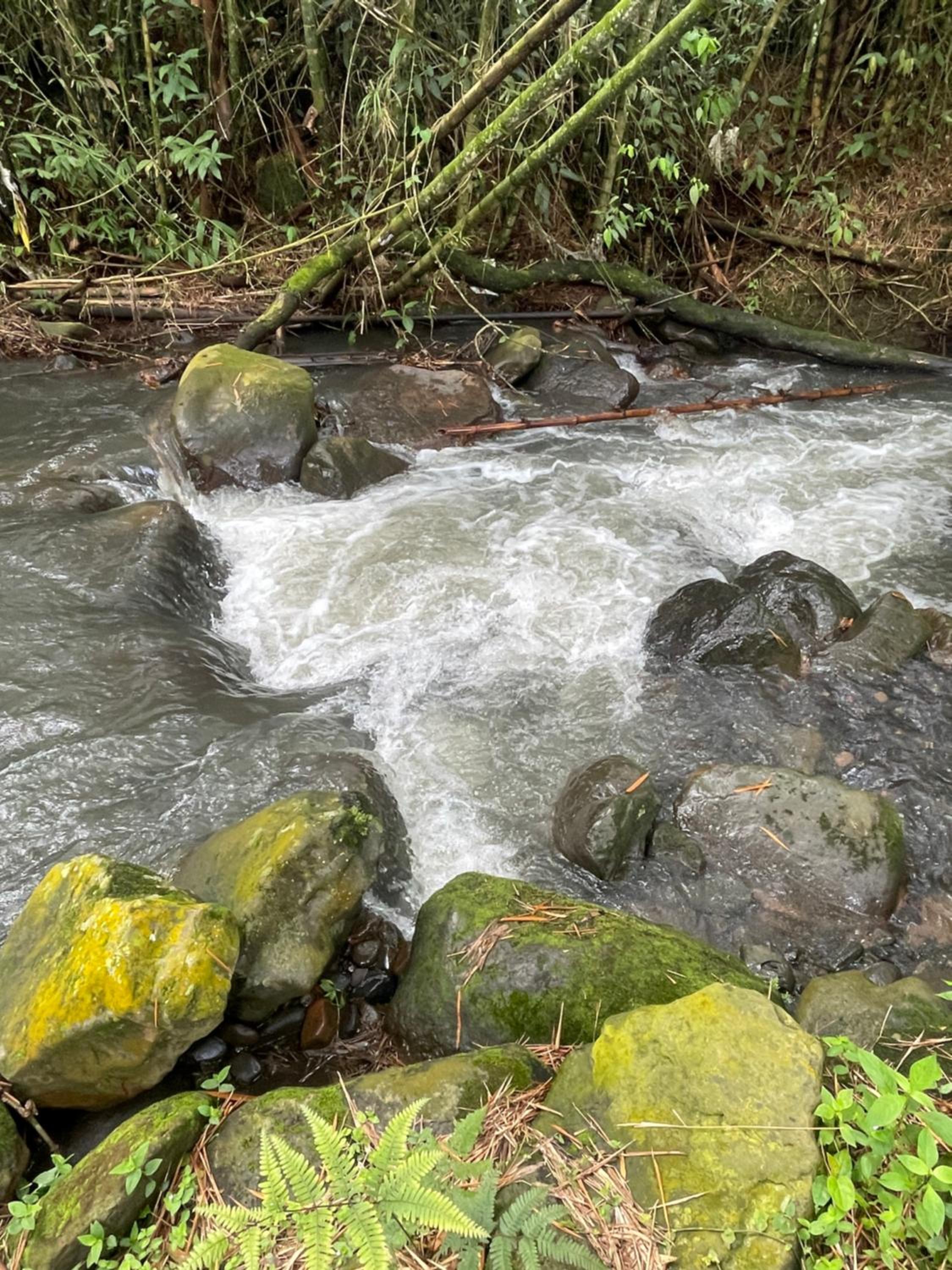 Rincón del Colibrí