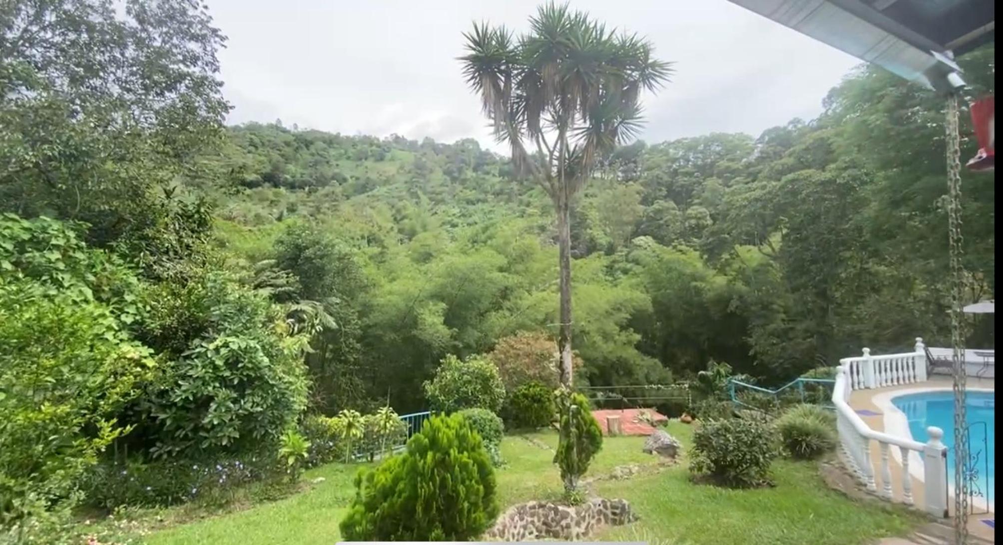 Rincón del Colibrí
