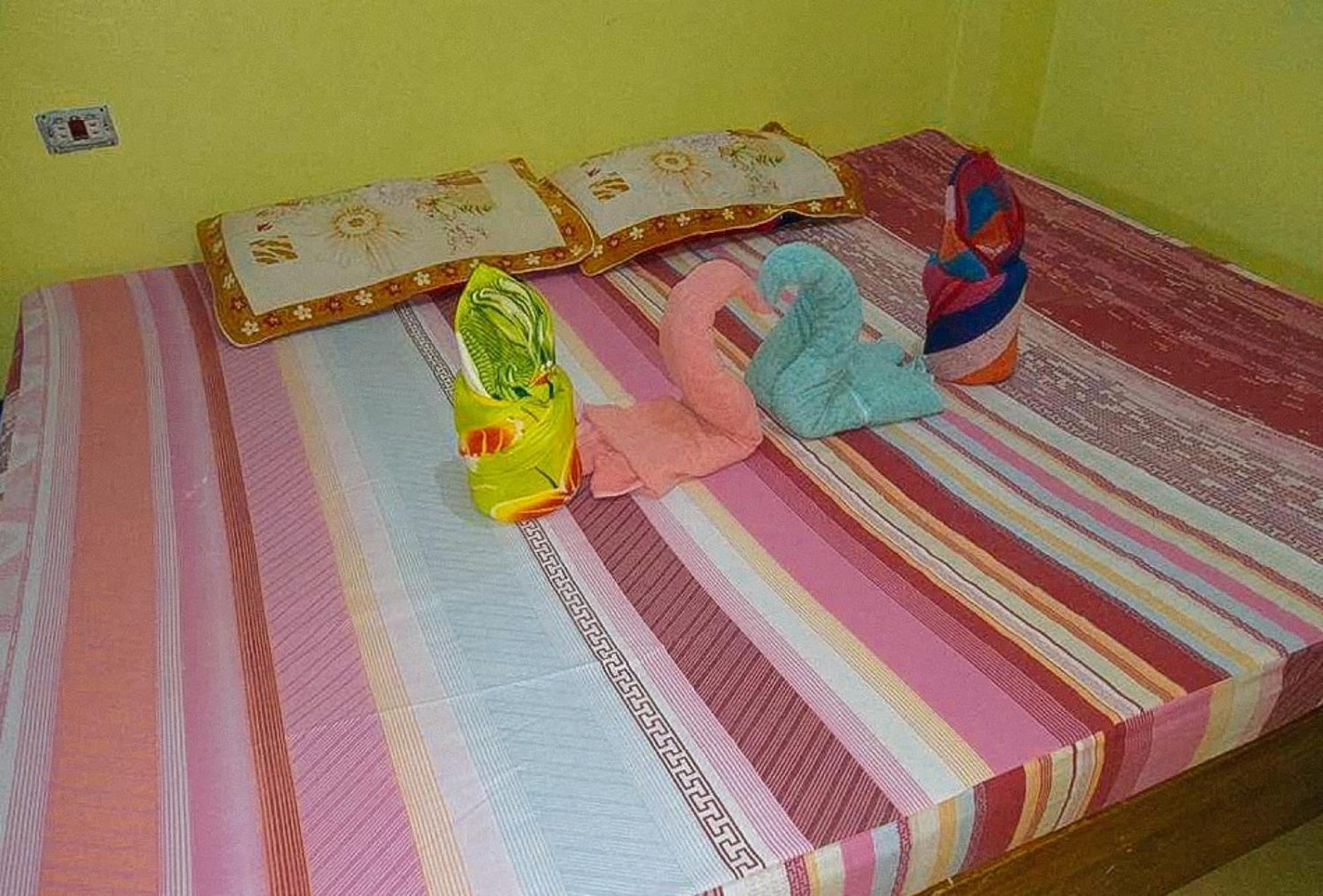 Photo 12