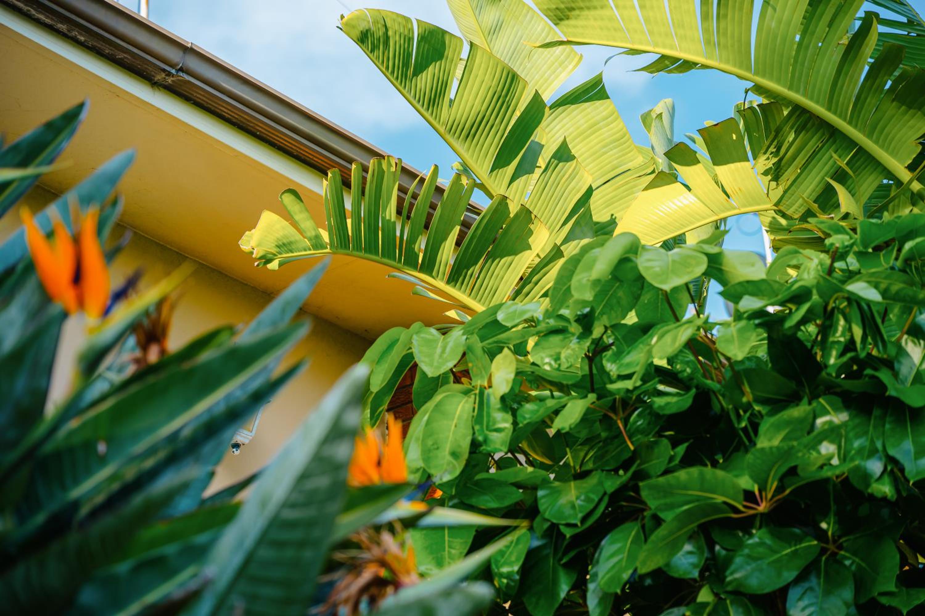 Bondi Beach 4Br house