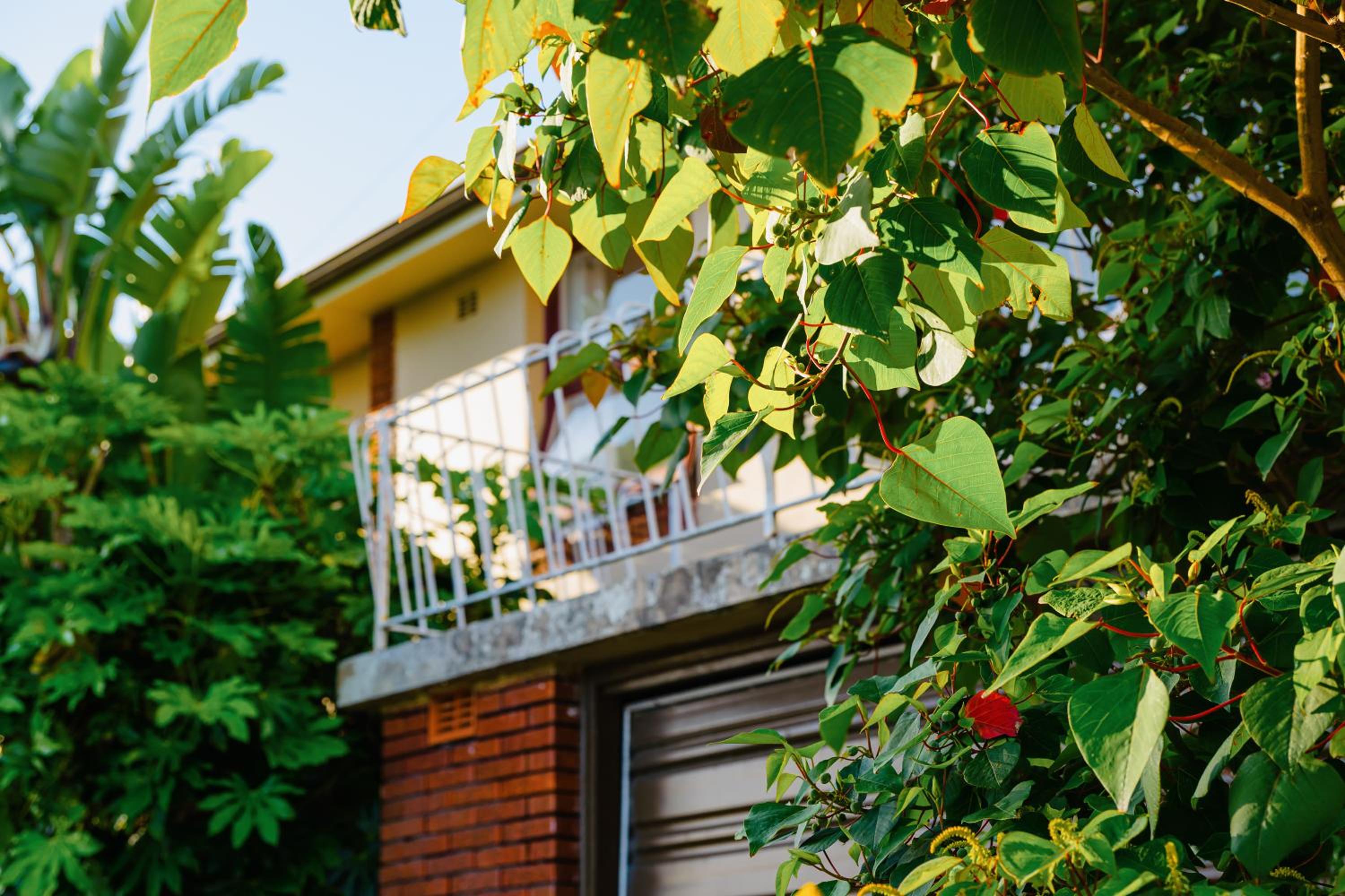 Bondi Beach 4Br house