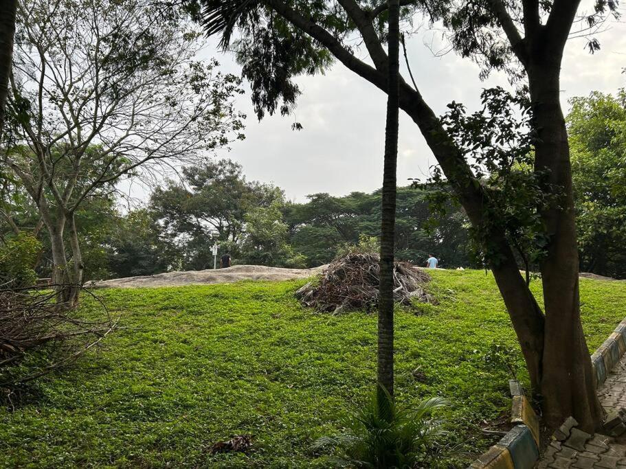 A Calm and peaceful 1BHK near JP nagar view 3