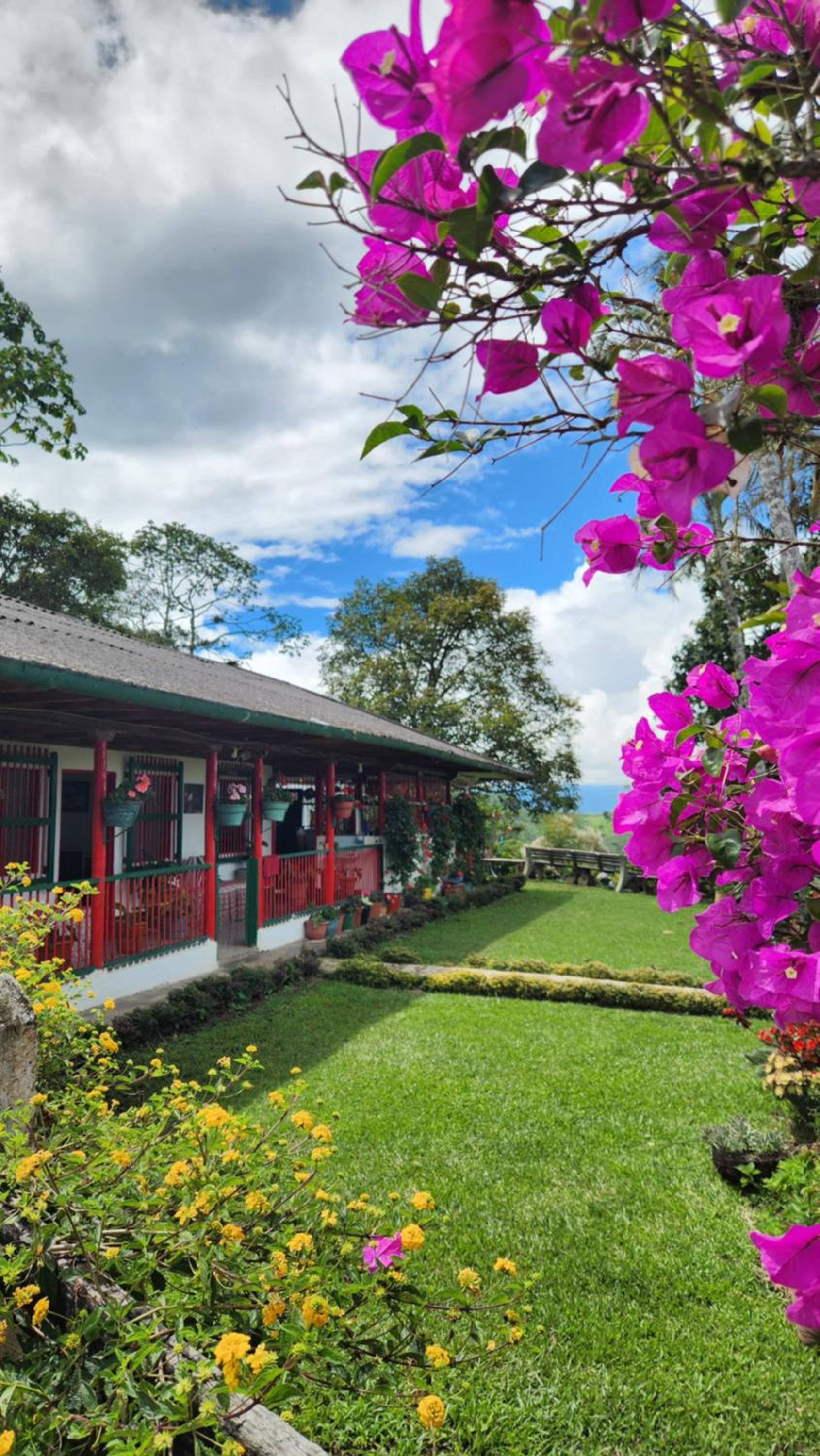Finca Carrizales