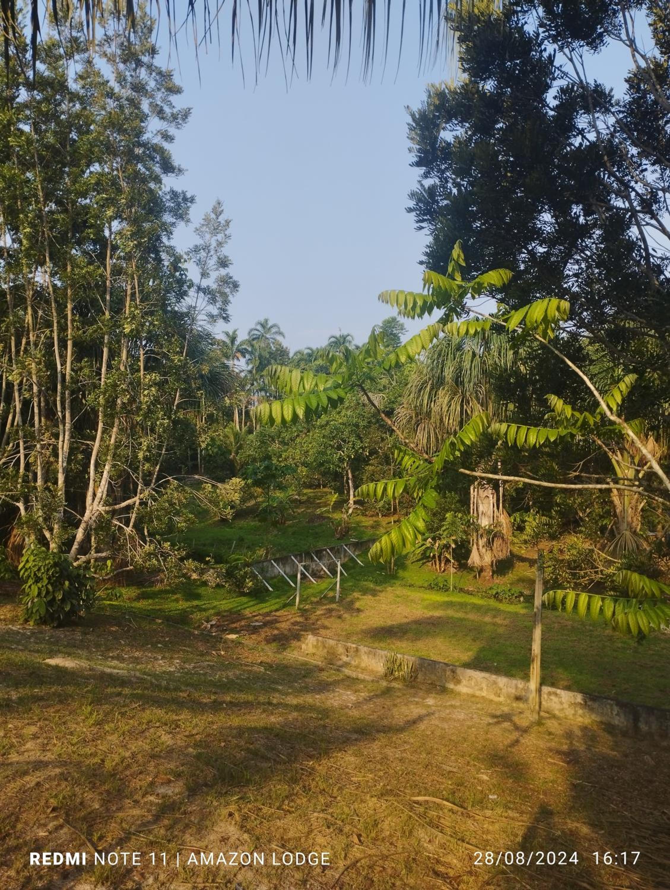Amazon Lodge Varillal view 2