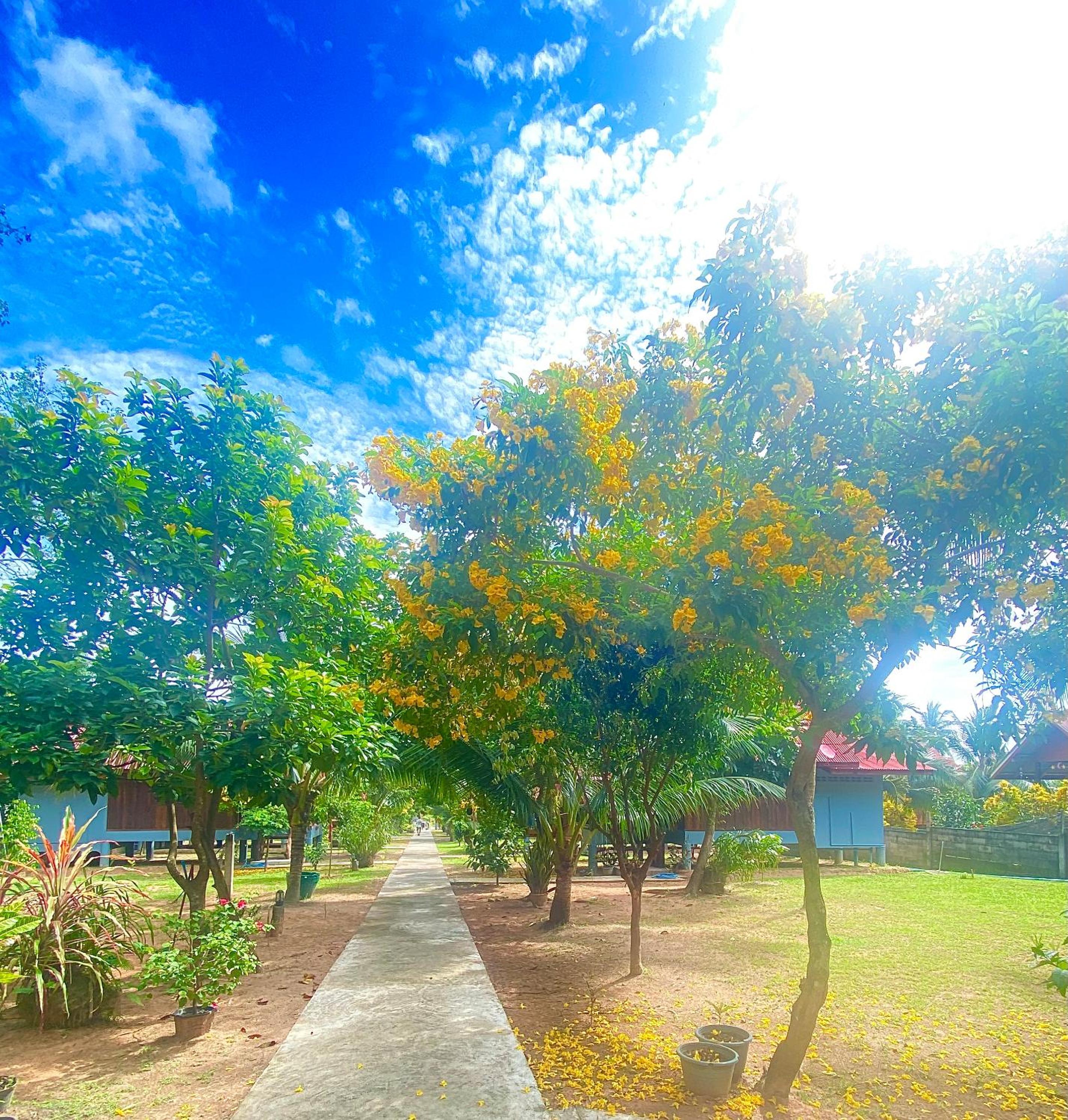 Nadia Resort Kohjum view 5