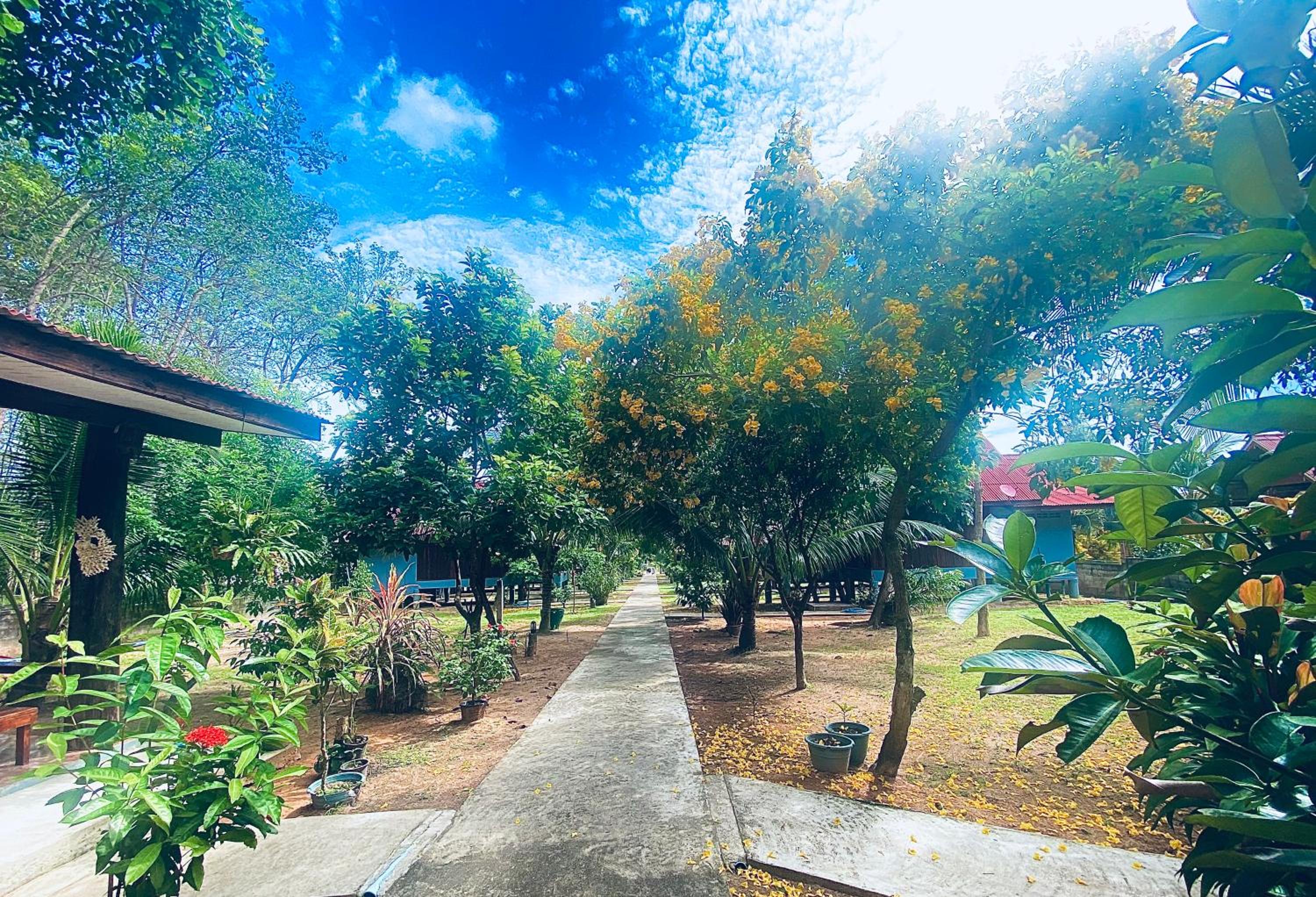 Nadia Resort Kohjum view 2