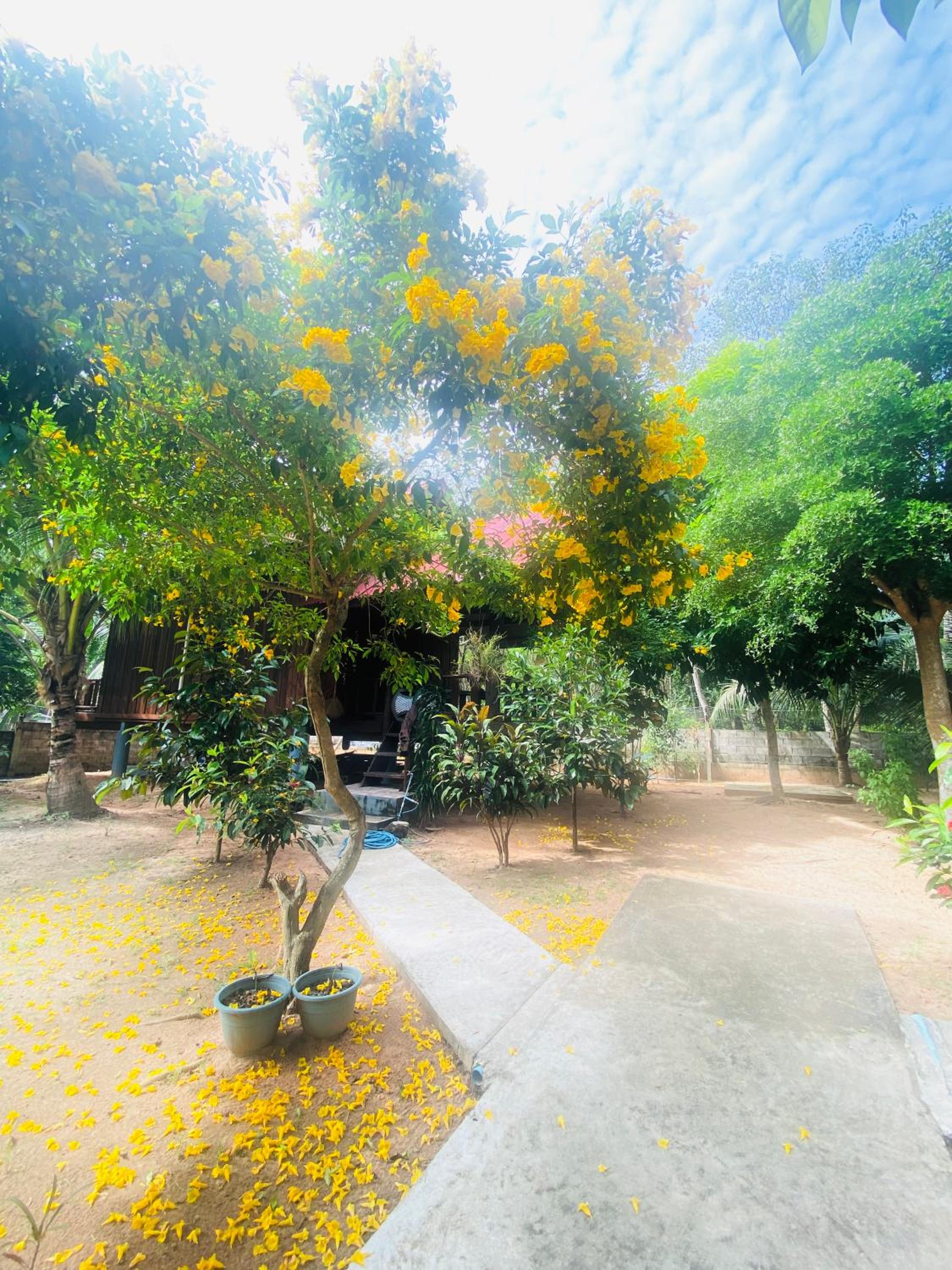 Nadia Resort Kohjum view 4