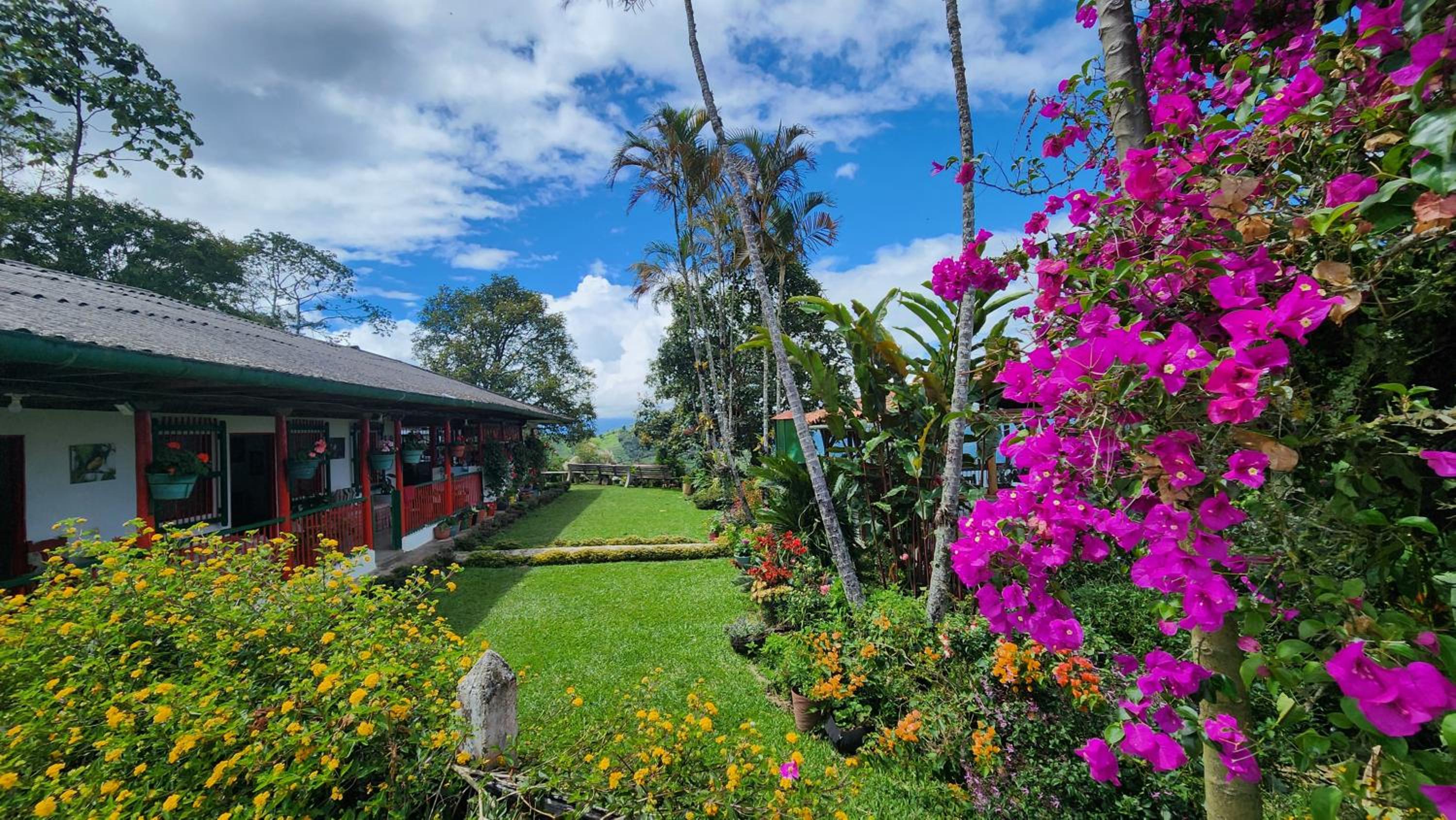 Finca Carrizales