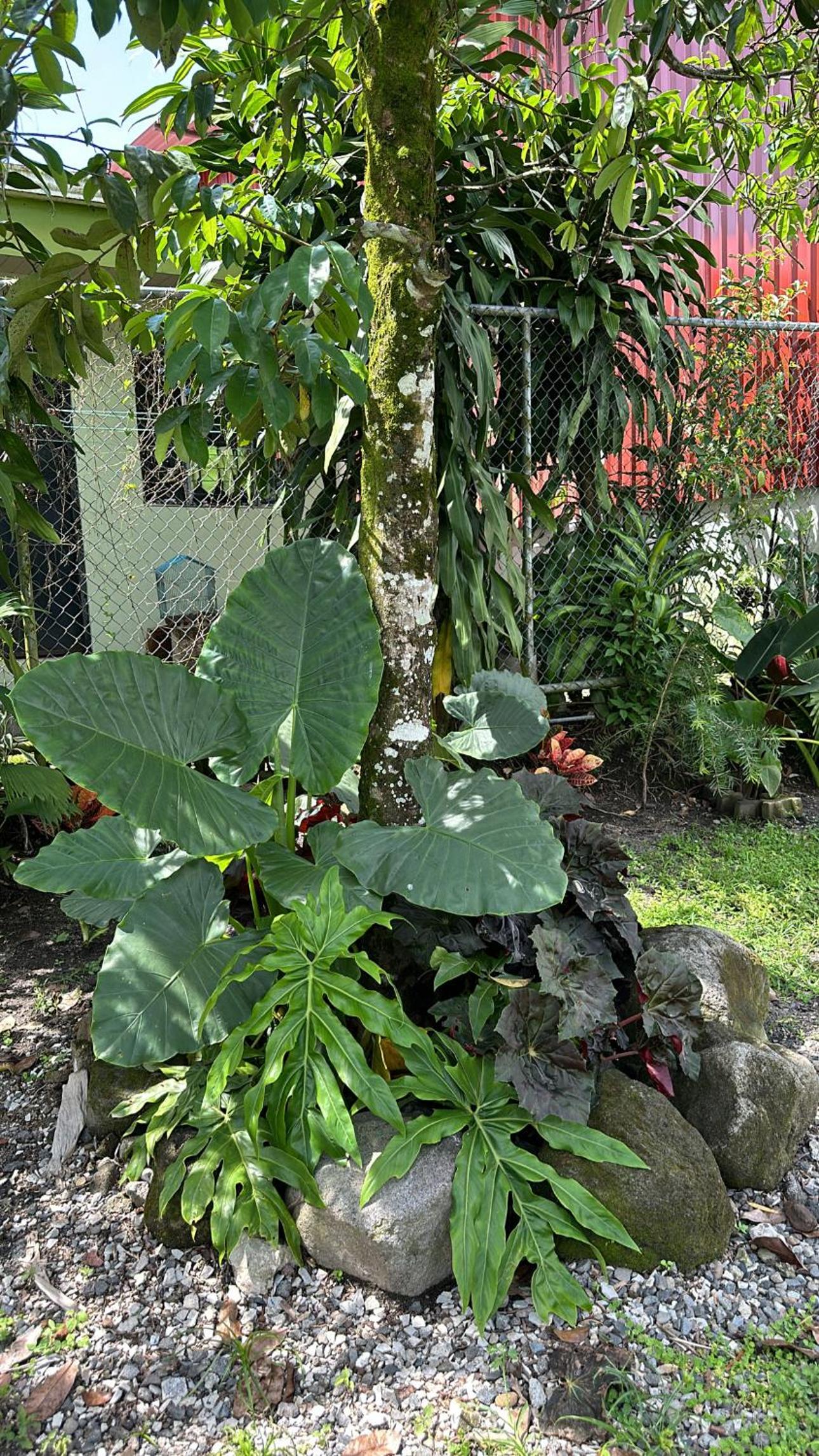 Sulára Loft Costa Rica