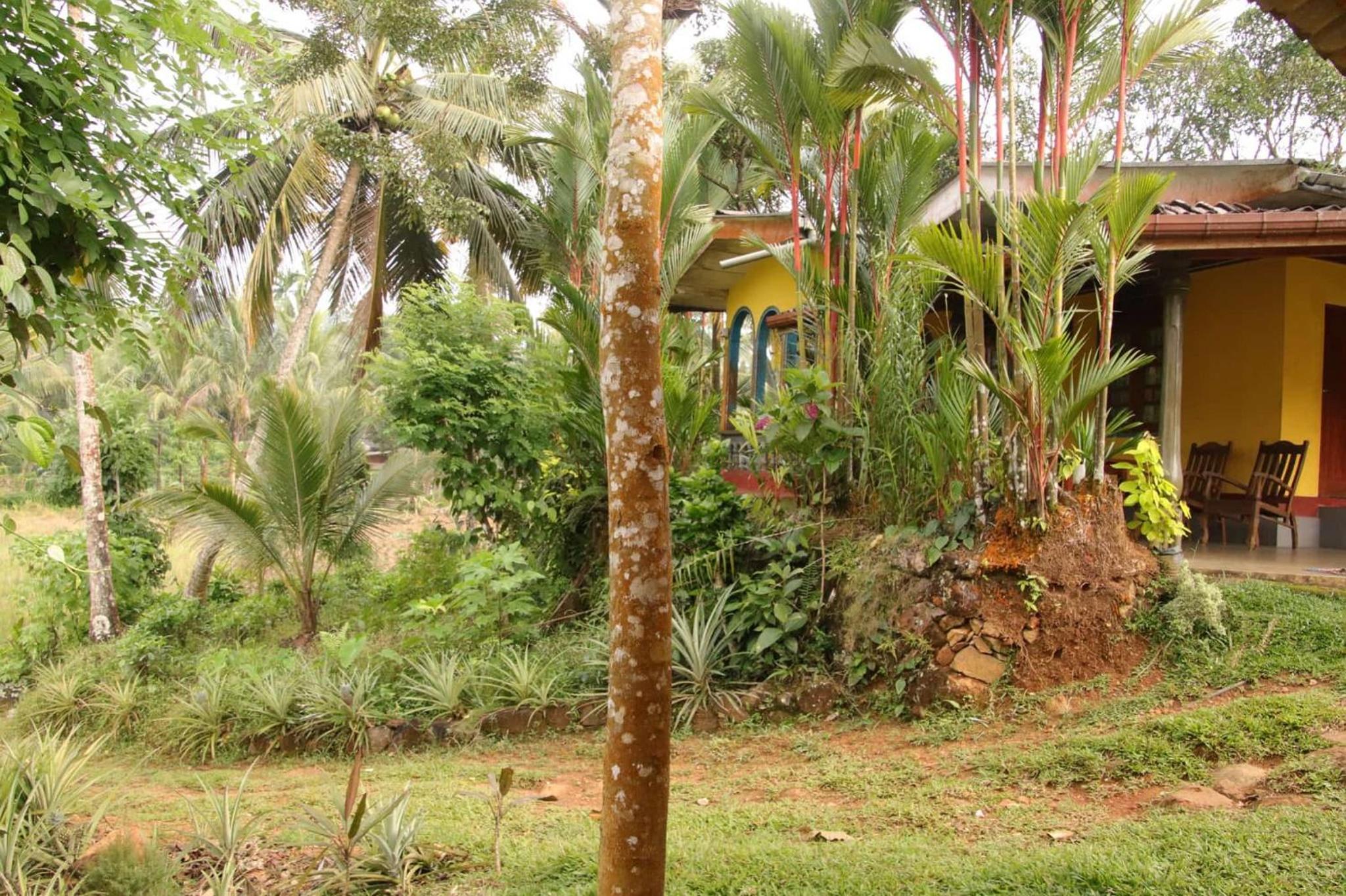 Photo 23