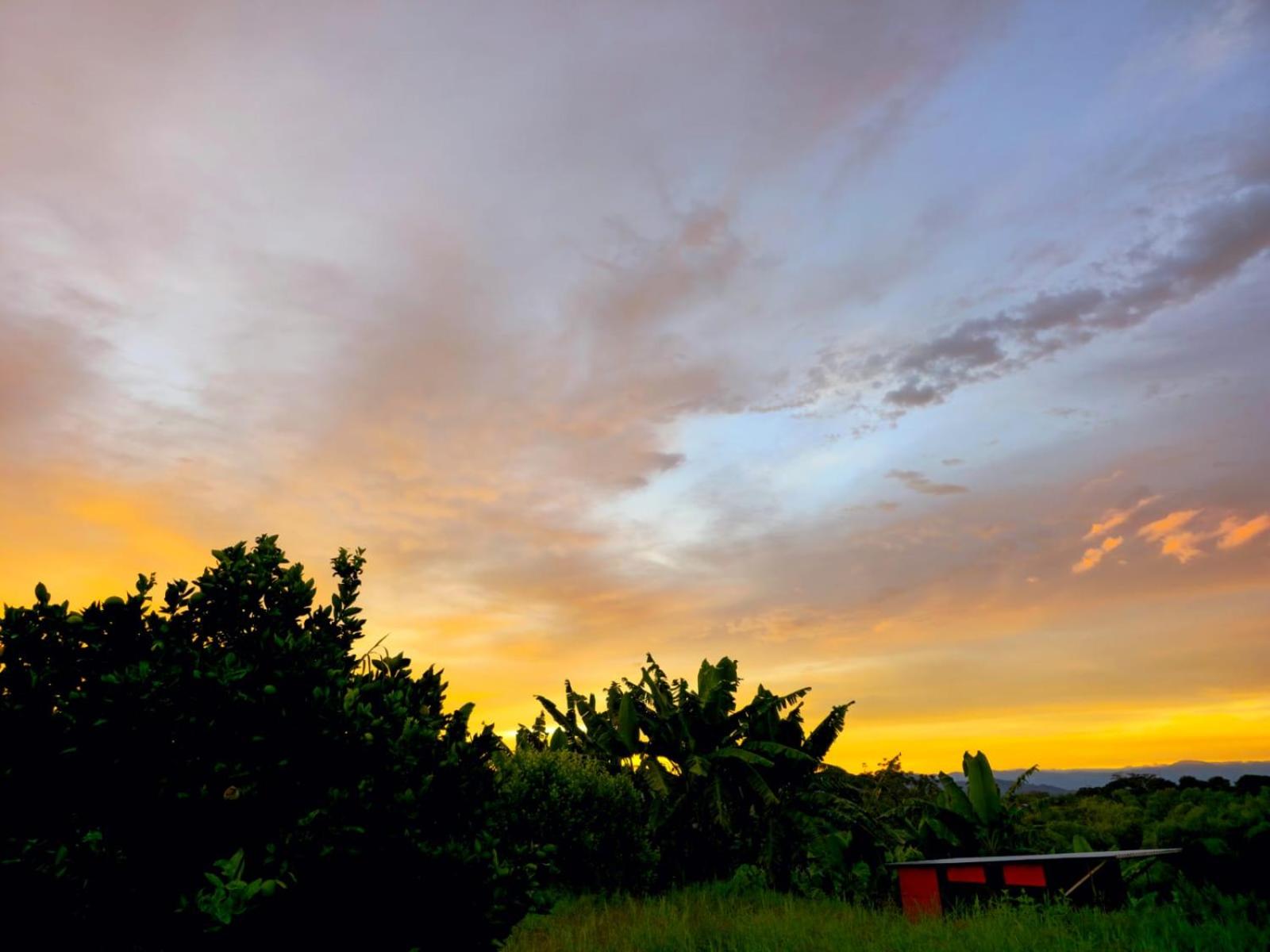 Finca Turistica Completa Tierra Nueva, a 5m del Parque Arrieros y 20m del Parque del Cafe y Panaca conectate con la naturaleza y disfruta de un lugar unico