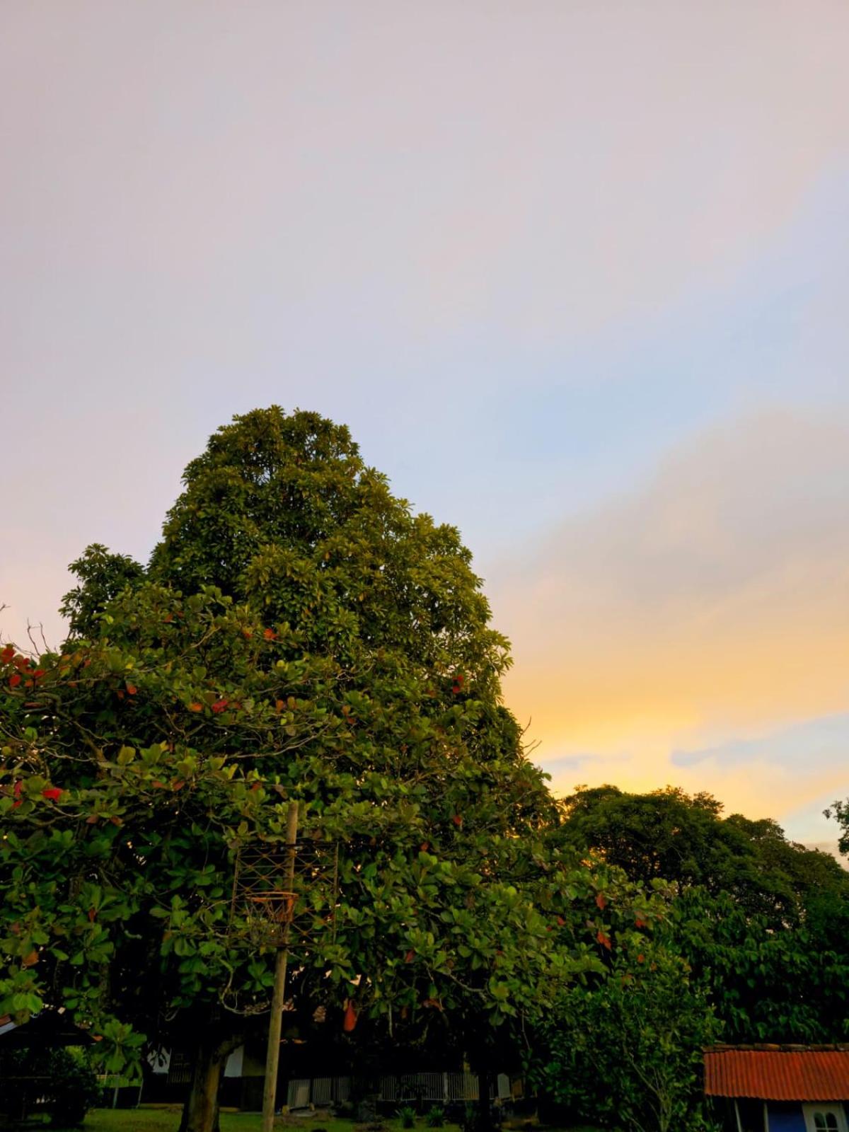 Finca Turistica Completa Tierra Nueva, a 5m del Parque Arrieros y 20m del Parque del Cafe y Panaca conectate con la naturaleza y disfruta de un lugar unico