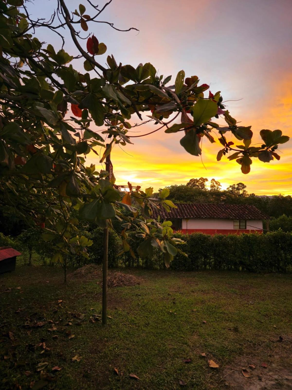 Finca Turistica Completa Tierra Nueva, a 5m del Parque Arrieros y 20m del Parque del Cafe y Panaca conectate con la naturaleza y disfruta de un lugar unico