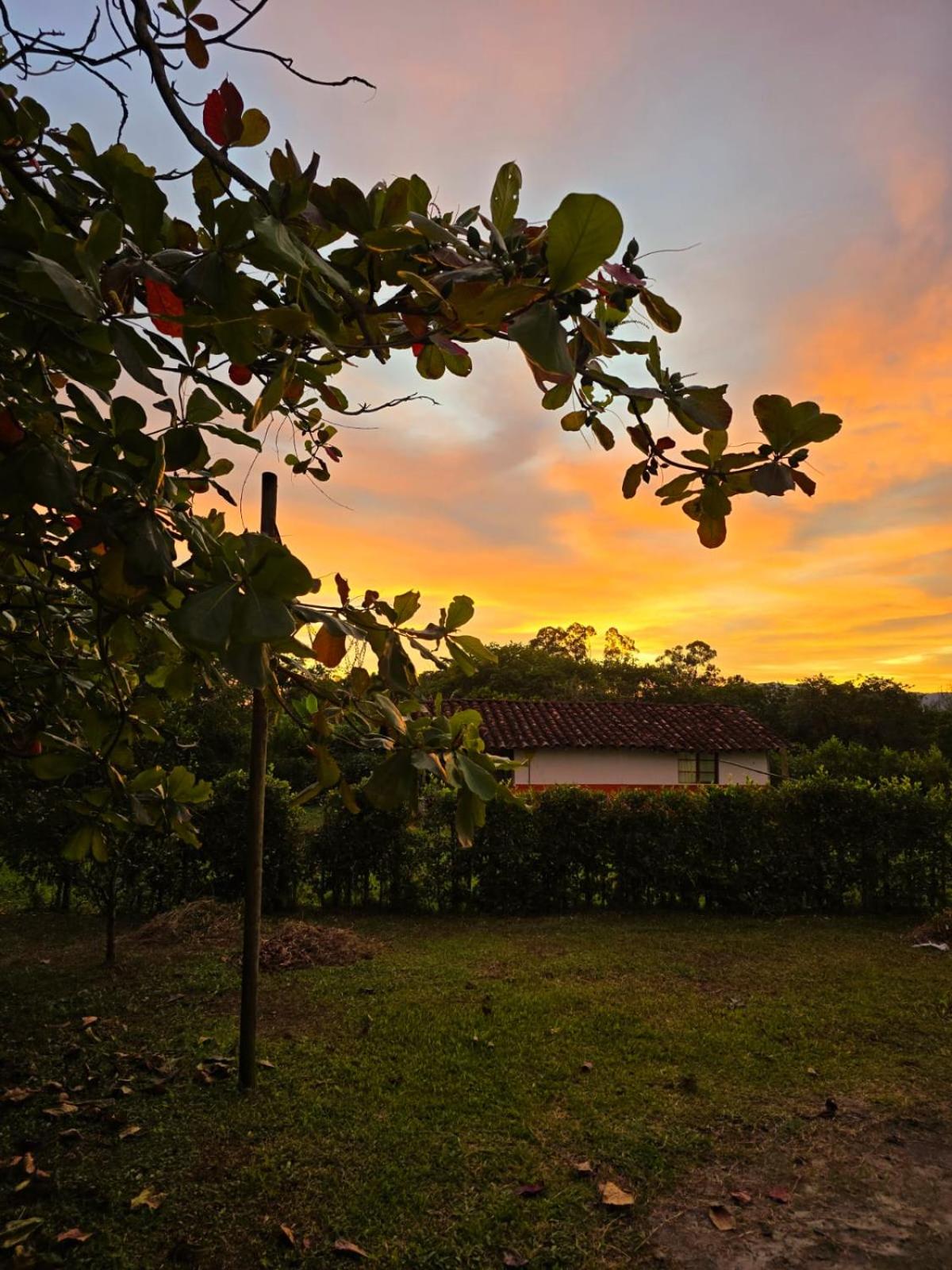 Finca Turistica Completa Tierra Nueva, a 5m del Parque Arrieros y 20m del Parque del Cafe y Panaca conectate con la naturaleza y disfruta de un lugar unico