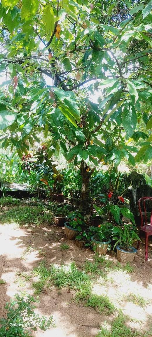Prasad home view 2