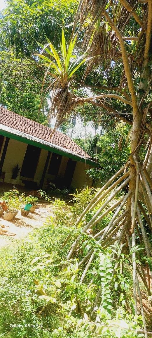 Prasad home view 5