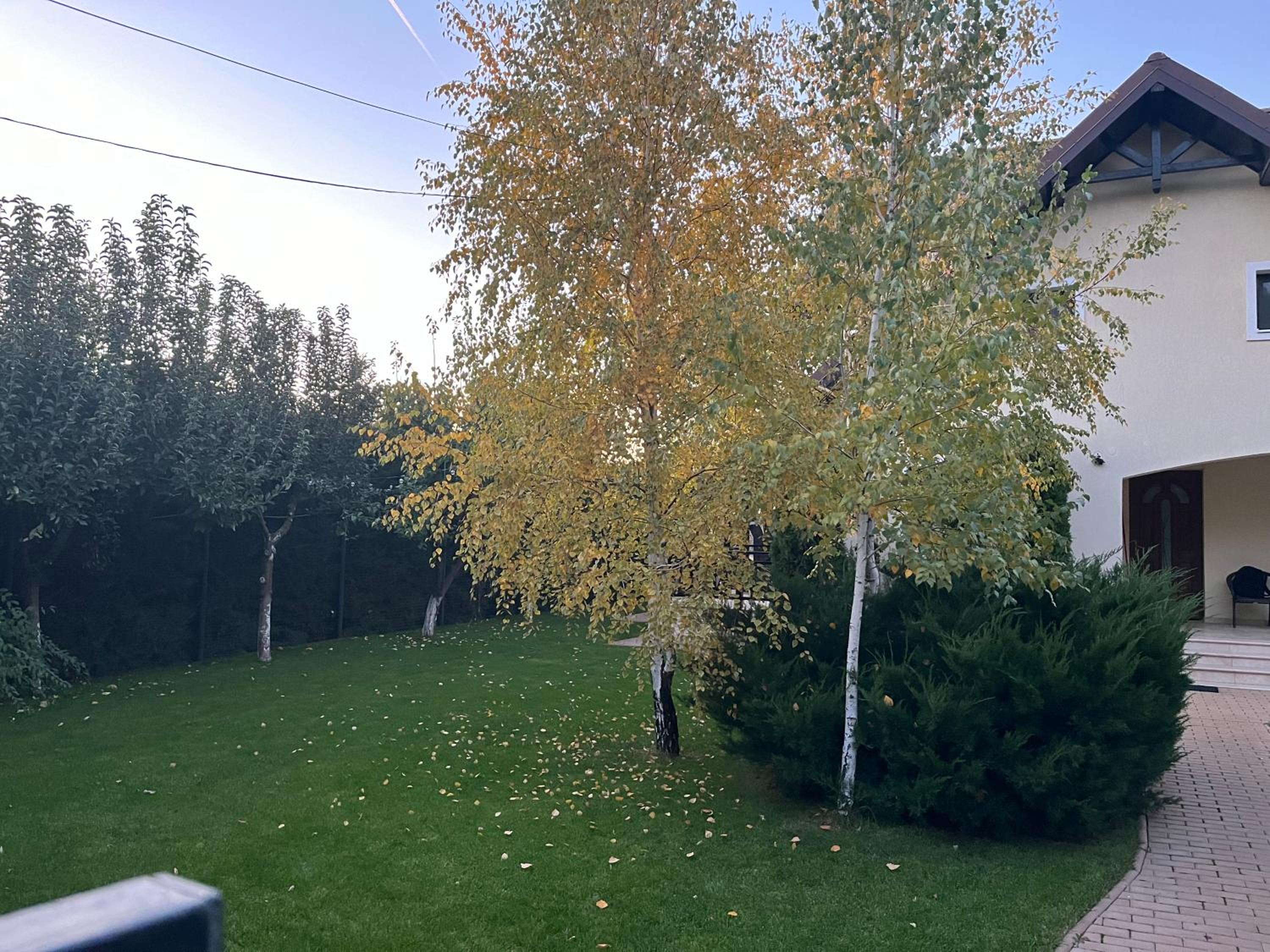 Photo 30