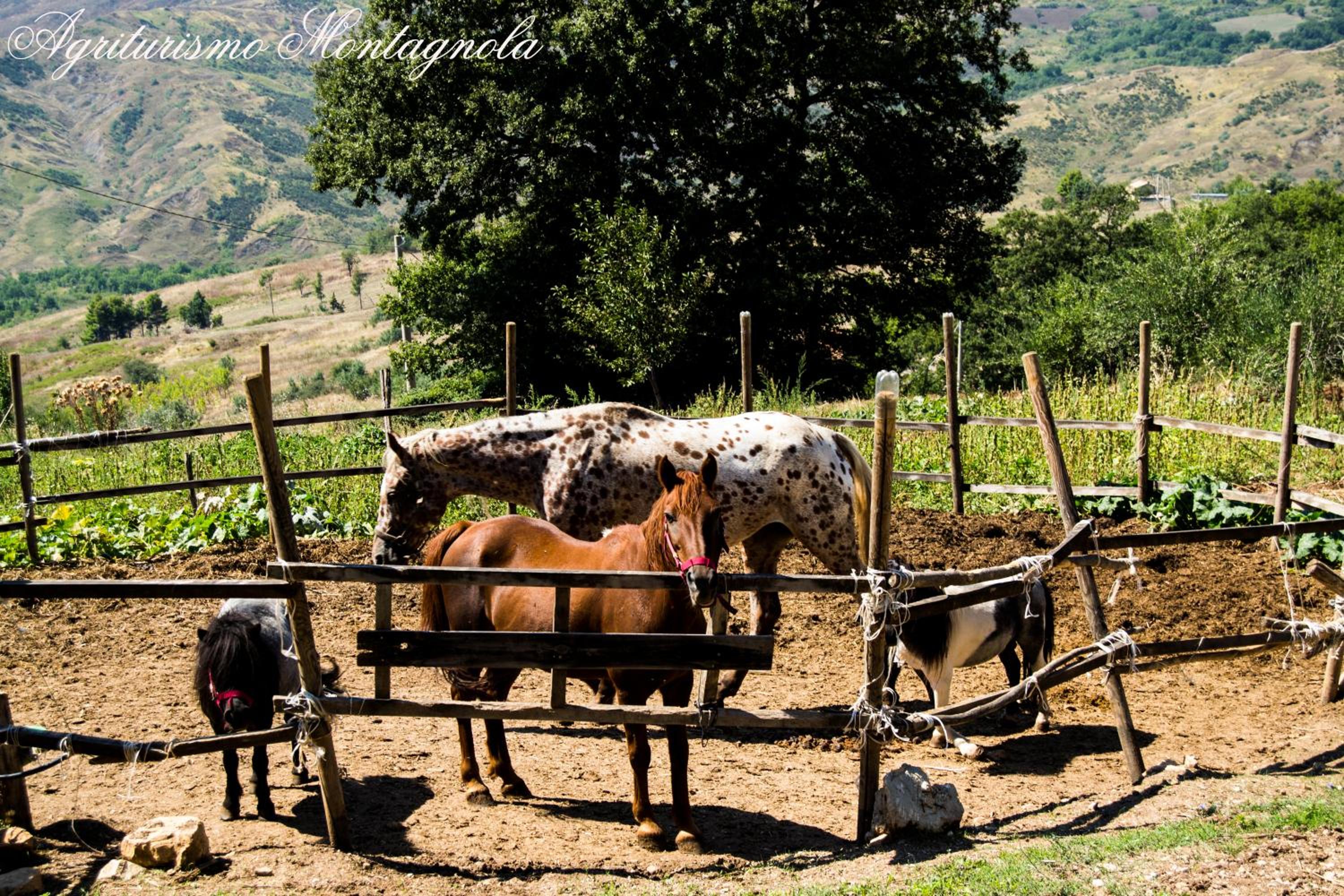 Agriturismo Montagnola Abruzzo view 4