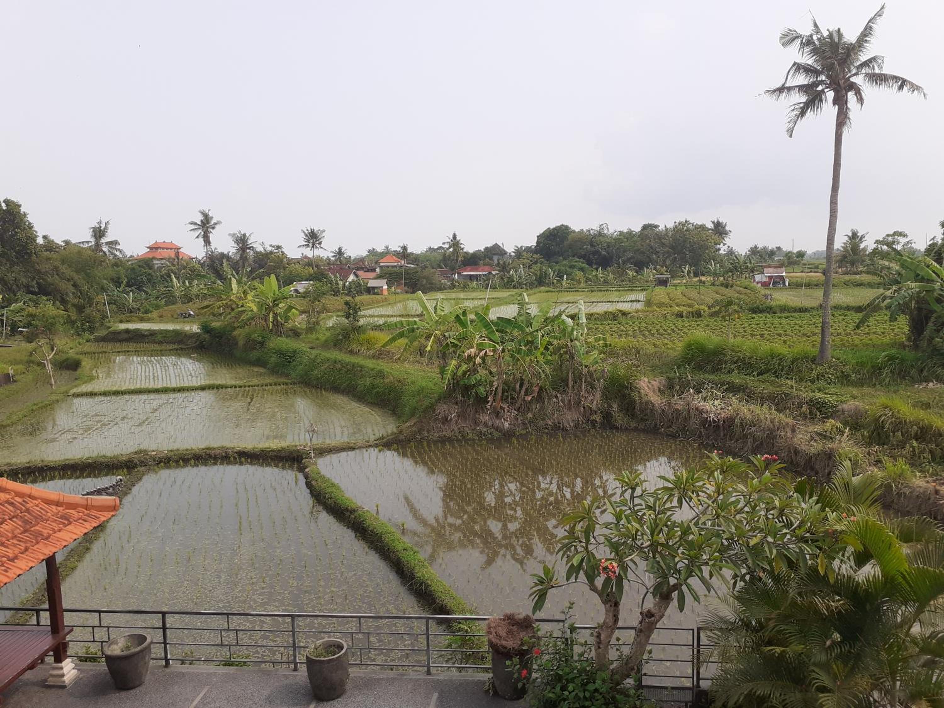 Photo 116