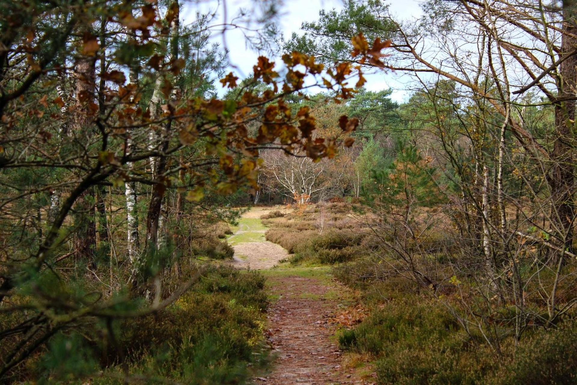 other